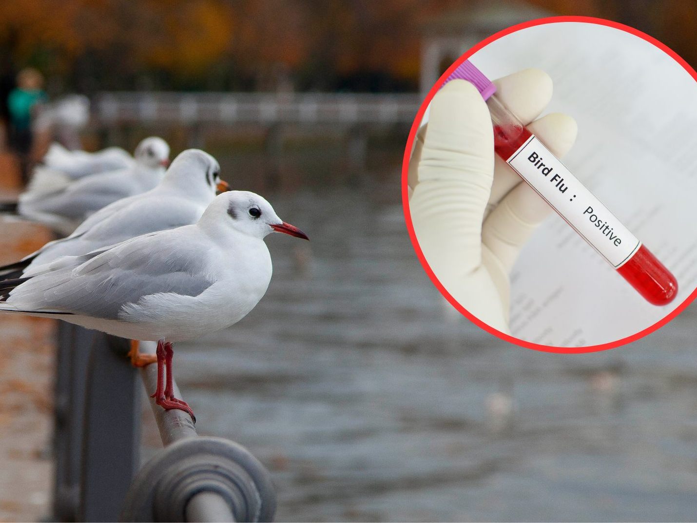 Sicherheits-Vorkehrungen bleiben aufrecht