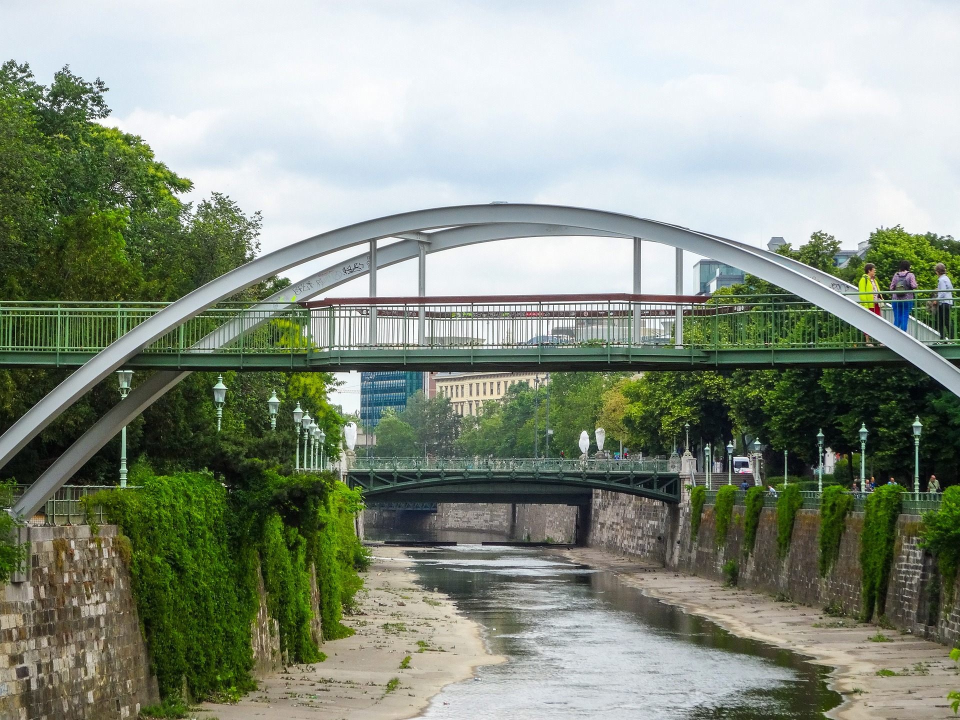 Der starke Regen tat den Wiener Bäumen gut.