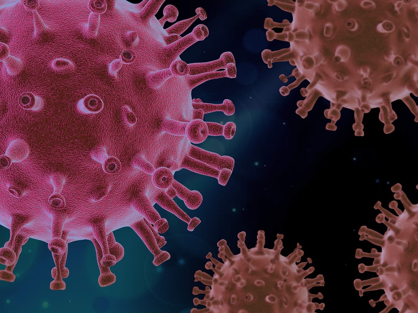 Die WHO nimmt die Coronavirusvariante XBB.1.16 auf die Beobachtungsliste.