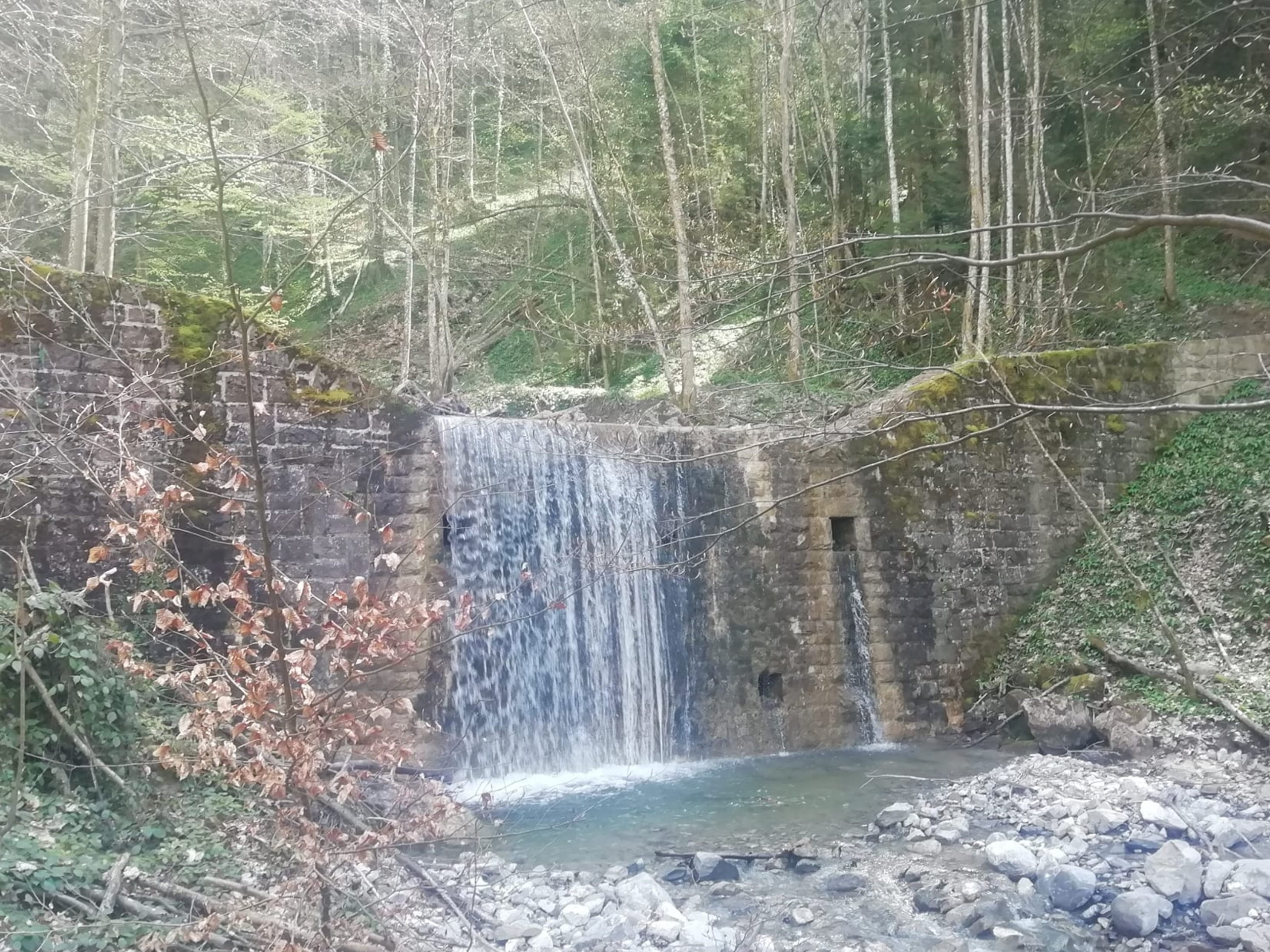 Die sechs Wasserversorger der Gemeinde schließen sich zusammen und bilden künftig die neue Wassergenossenschaft Zwischenwasser Die sechs Wasserversorger der Gemeinde schließen sich zusammen und bilden künftig die neue Wassergenossenschaft Zwischenwasser