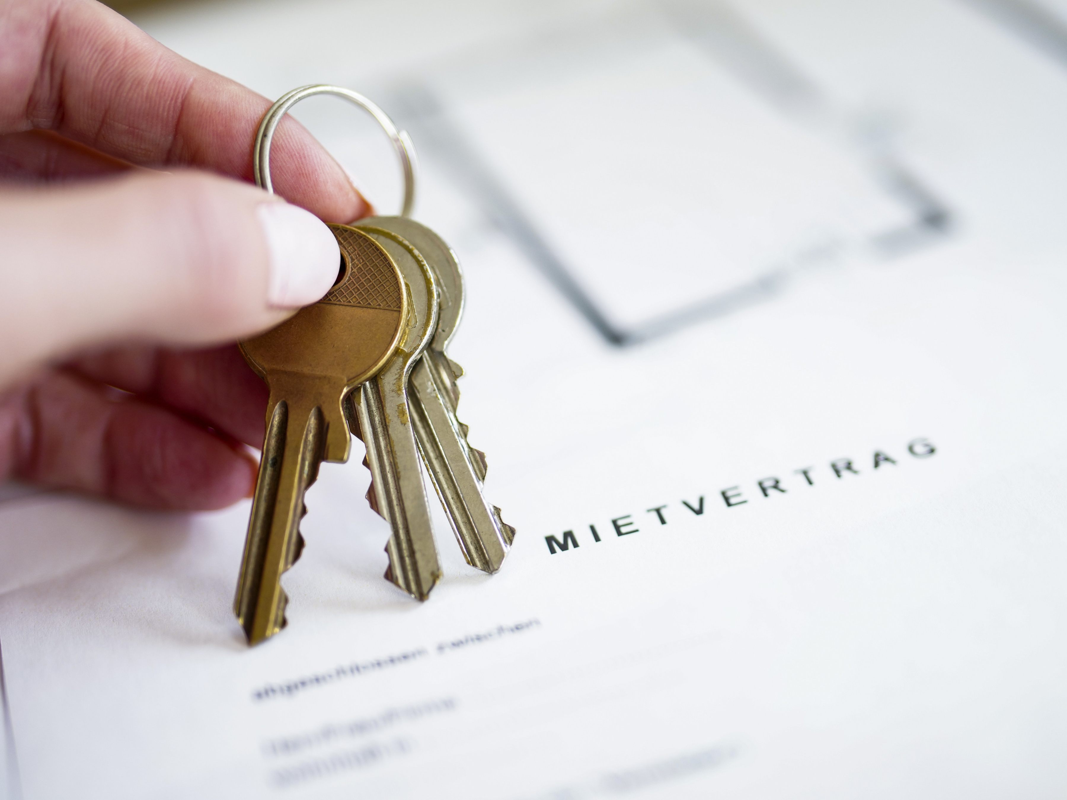 Das Momentum Institut warnt vor Preisanstiegen bei den Richtwertmieten von fast 30 Prozent bis 2025. Das Momentum Institut warnt vor Preisanstiegen bei den Richtwertmieten von fast 30 Prozent bis 2025.