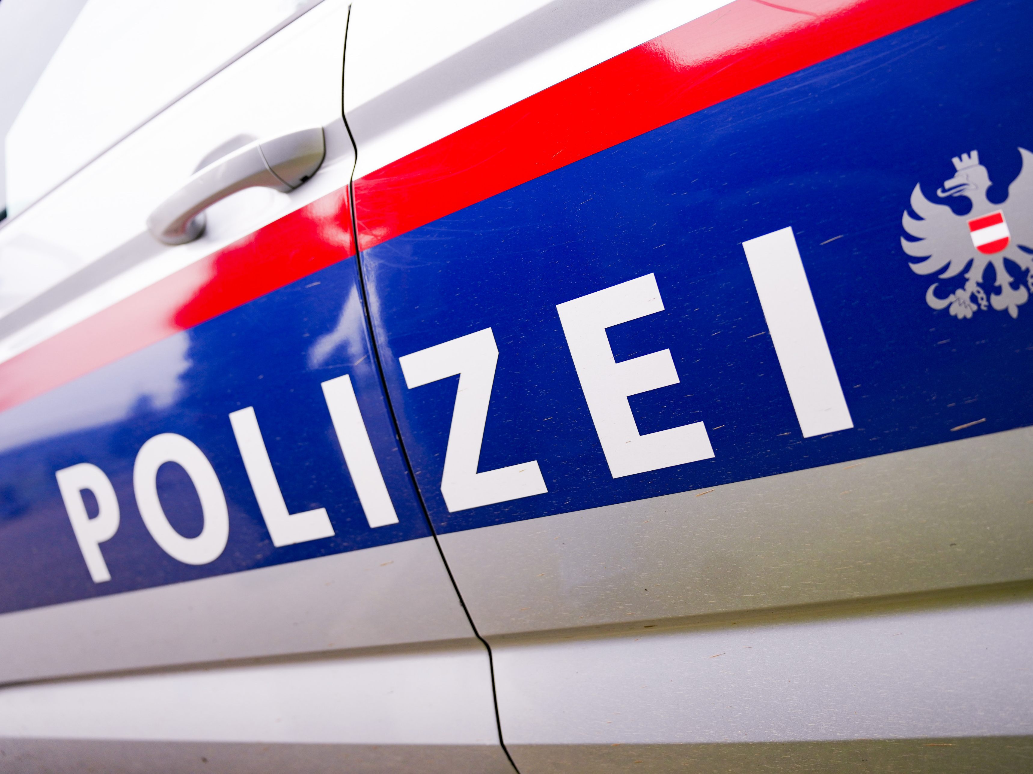 In der Wiener Innenstadt flüchtete ein Ladendieb vor der Polizei. In der Wiener Innenstadt flüchtete ein Ladendieb vor der Polizei.