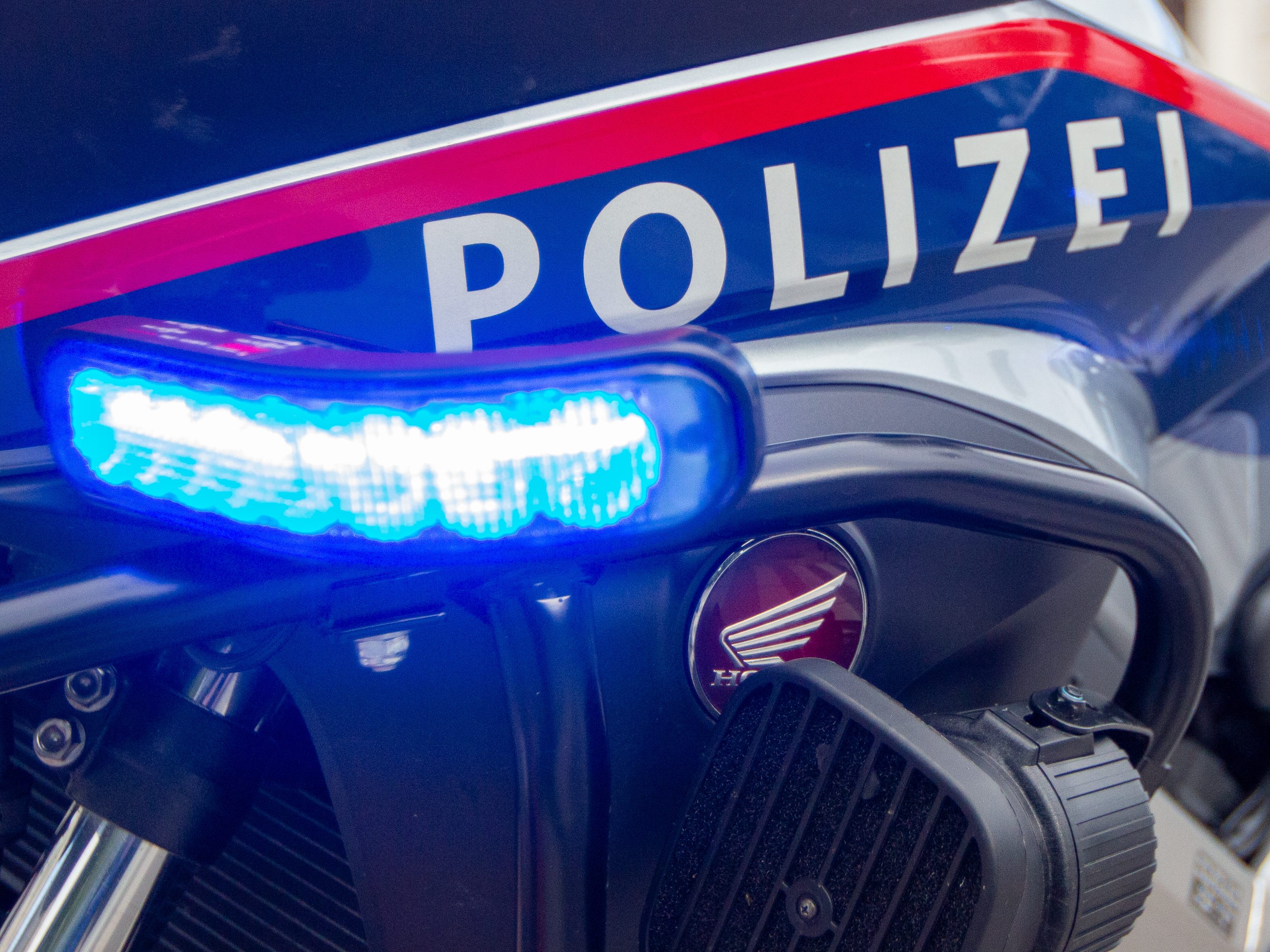 Der Wiener Polizei gingen vier mutmaßliche Räuber ins Netz. Der Wiener Polizei gingen vier mutmaßliche Räuber ins Netz.