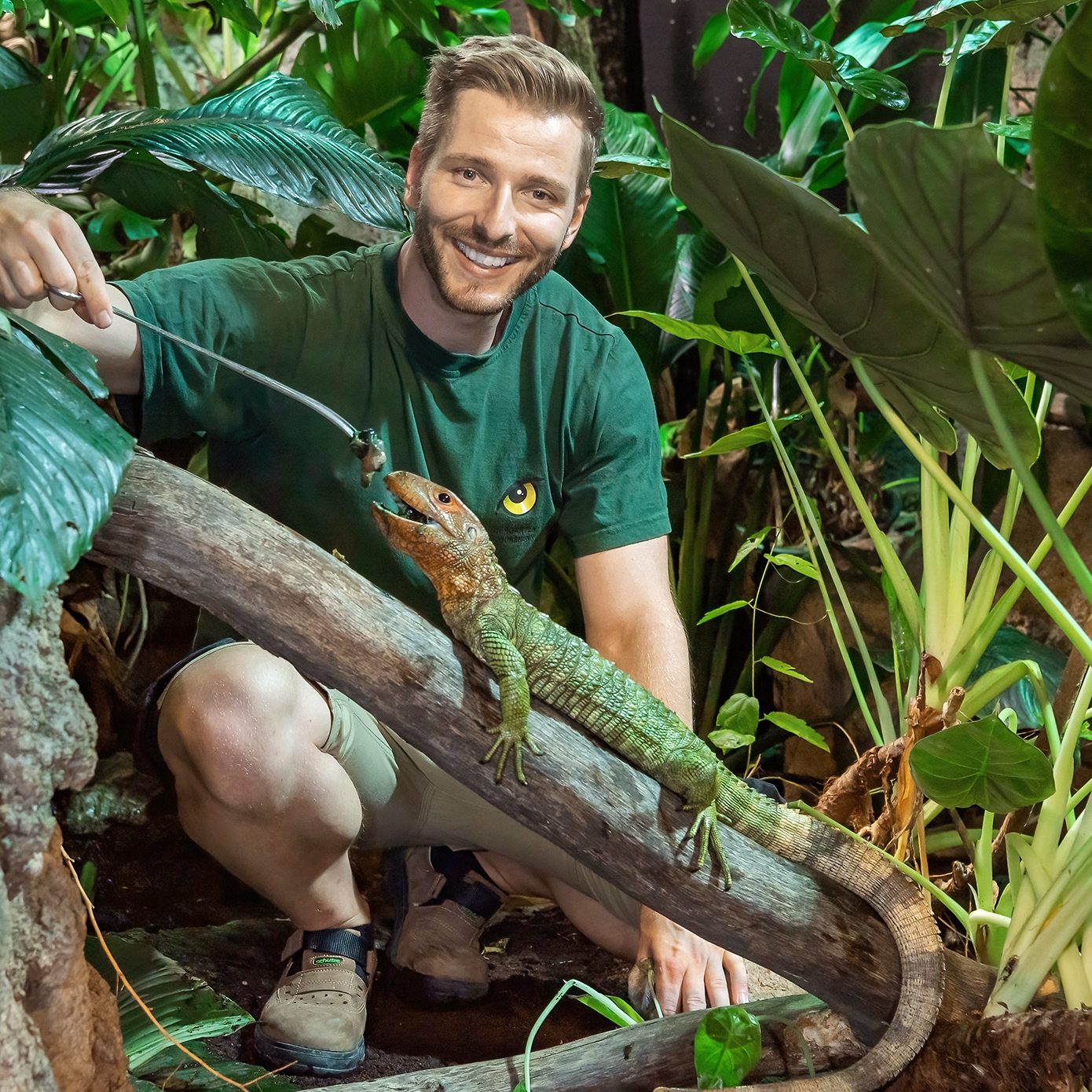 Der Tiergarten Schönbrunn bietet Kurse zur Exoten-Haltung an.