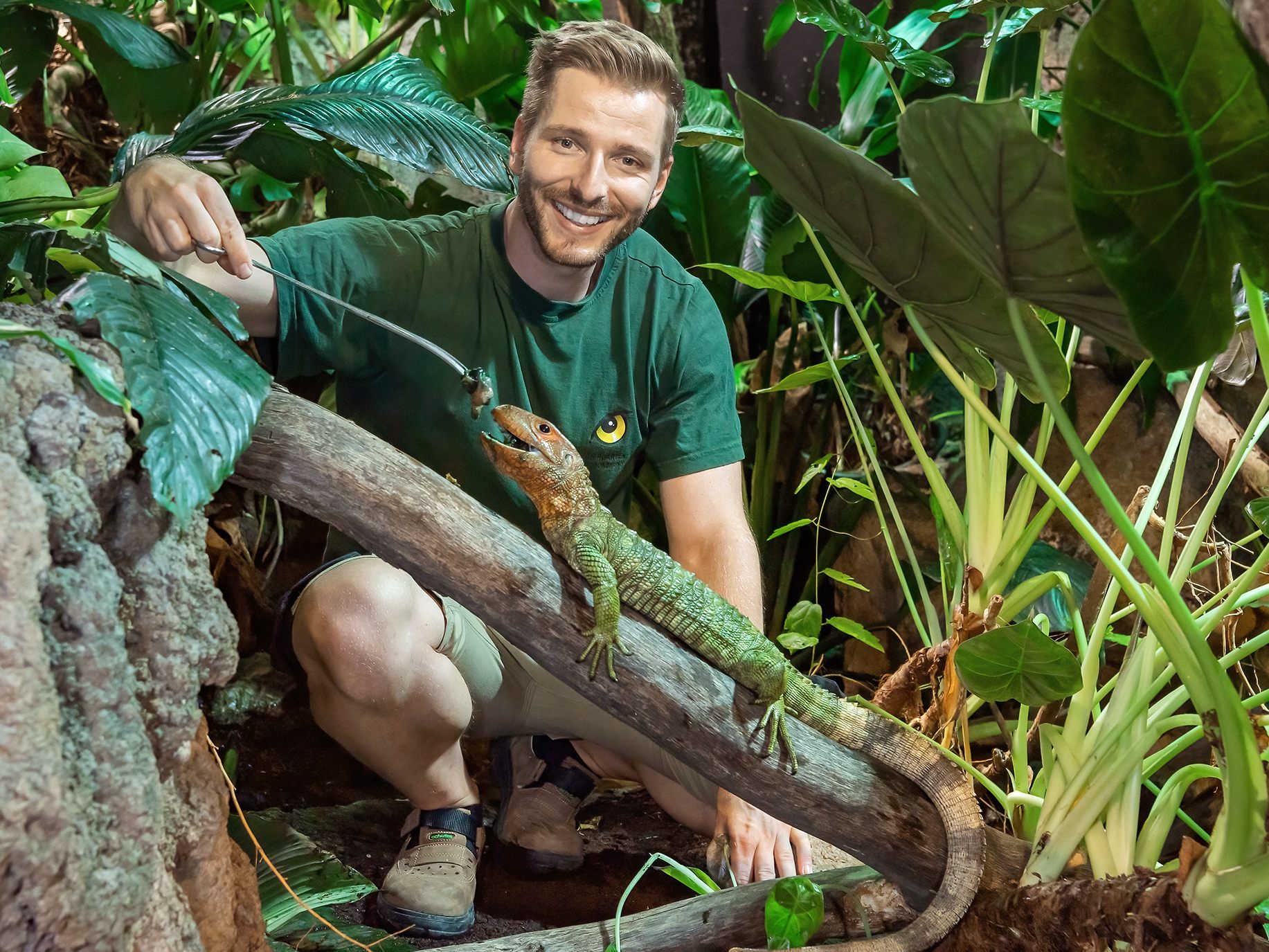 Der Tiergarten Schönbrunn bietet Kurse zur Exoten-Haltung an. Der Tiergarten Schönbrunn bietet Kurse zur Exoten-Haltung an.