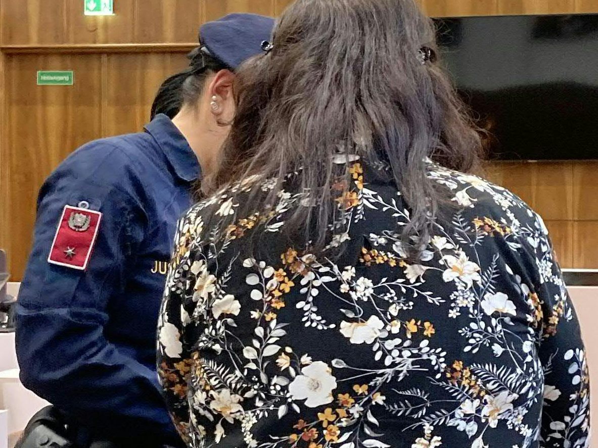 Einweisung in ein forensisch-therapeutisches Zentrum - Urteil nicht rechtskräftig.