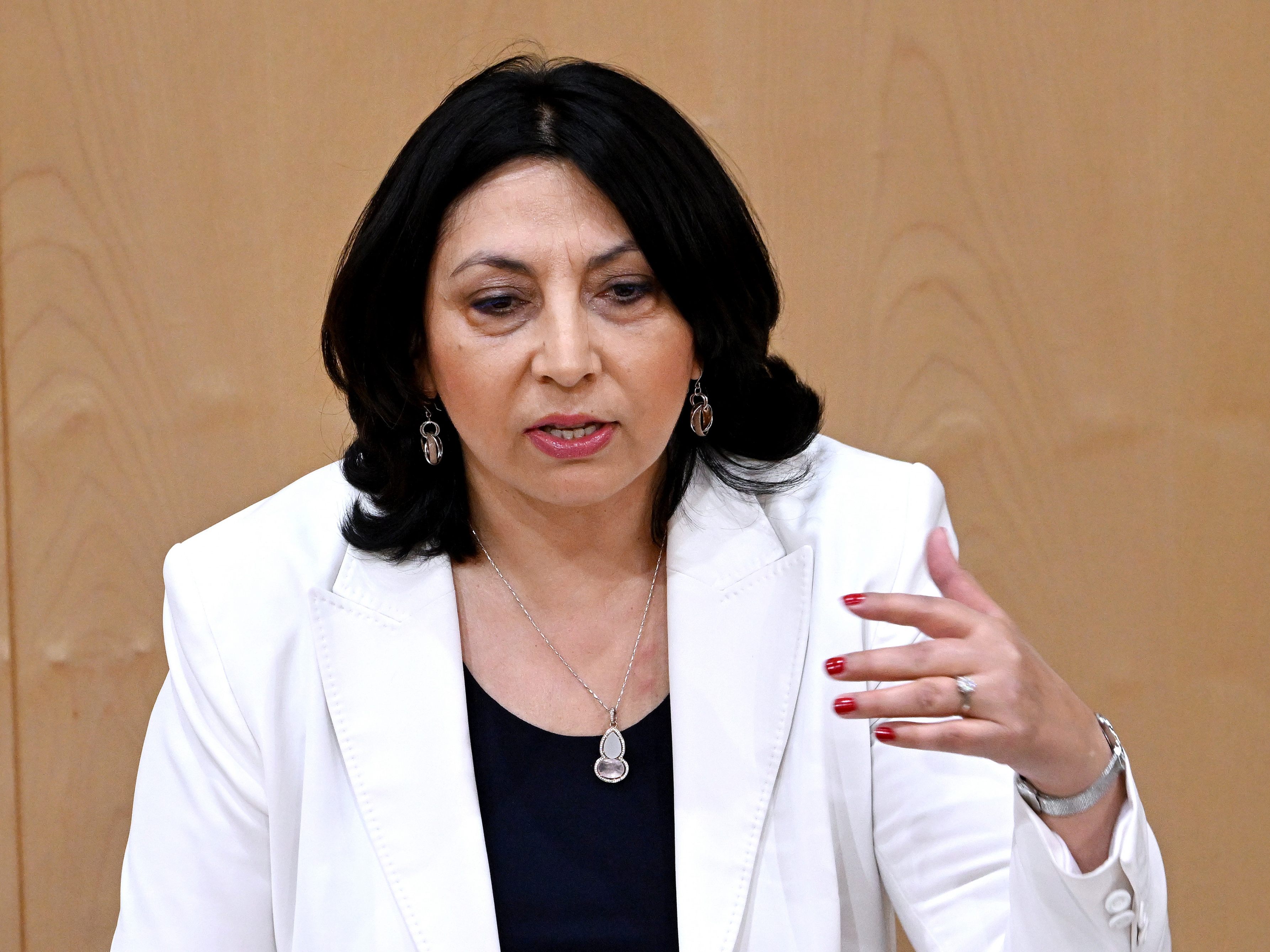 Die Wahlbeobachter glauben an eine hohe Teilnahme bei der Türkei-Wahl. Die Wahlbeobachter glauben an eine hohe Teilnahme bei der Türkei-Wahl.
