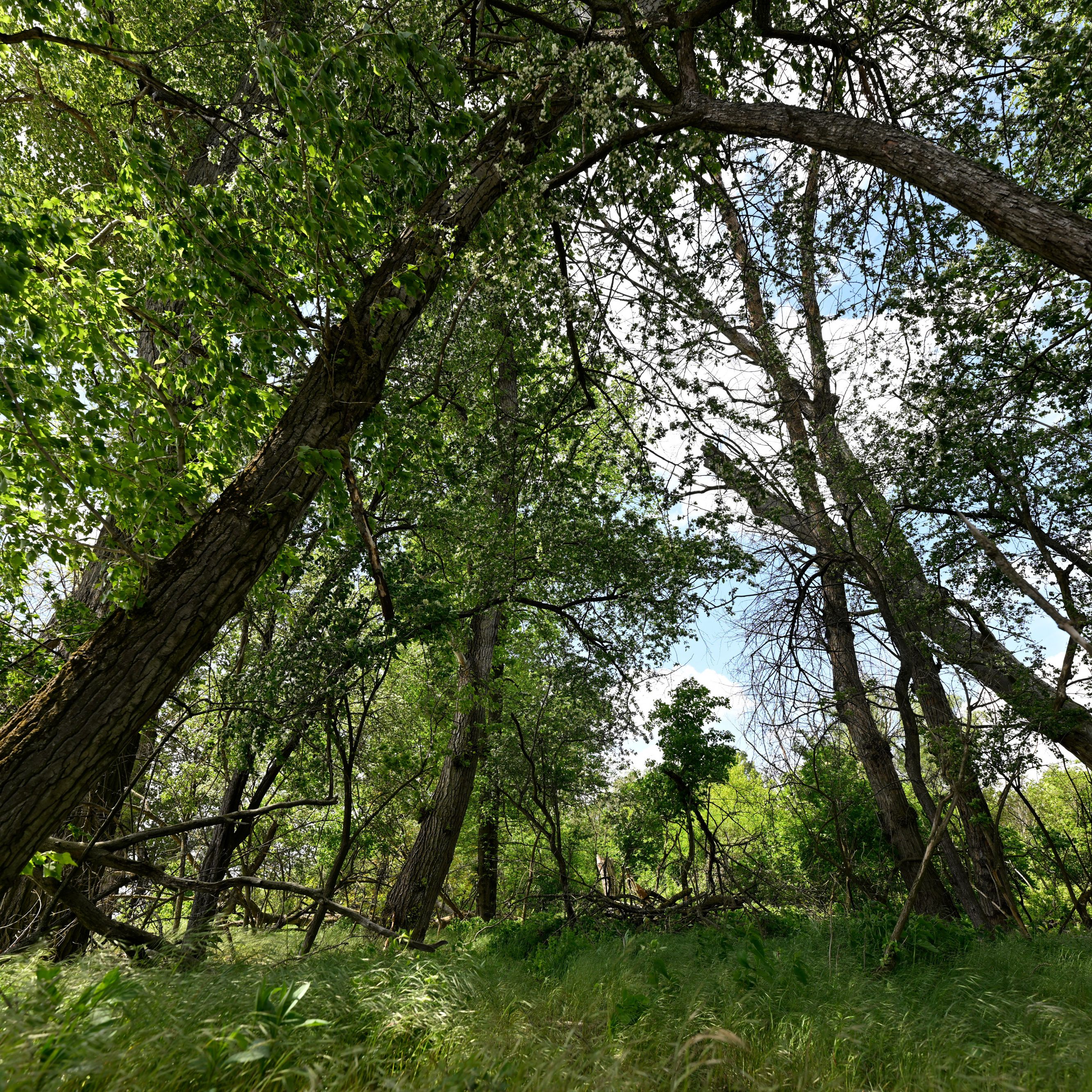 NGOs wenden sich an die Regierung mit einem offenen Brief.