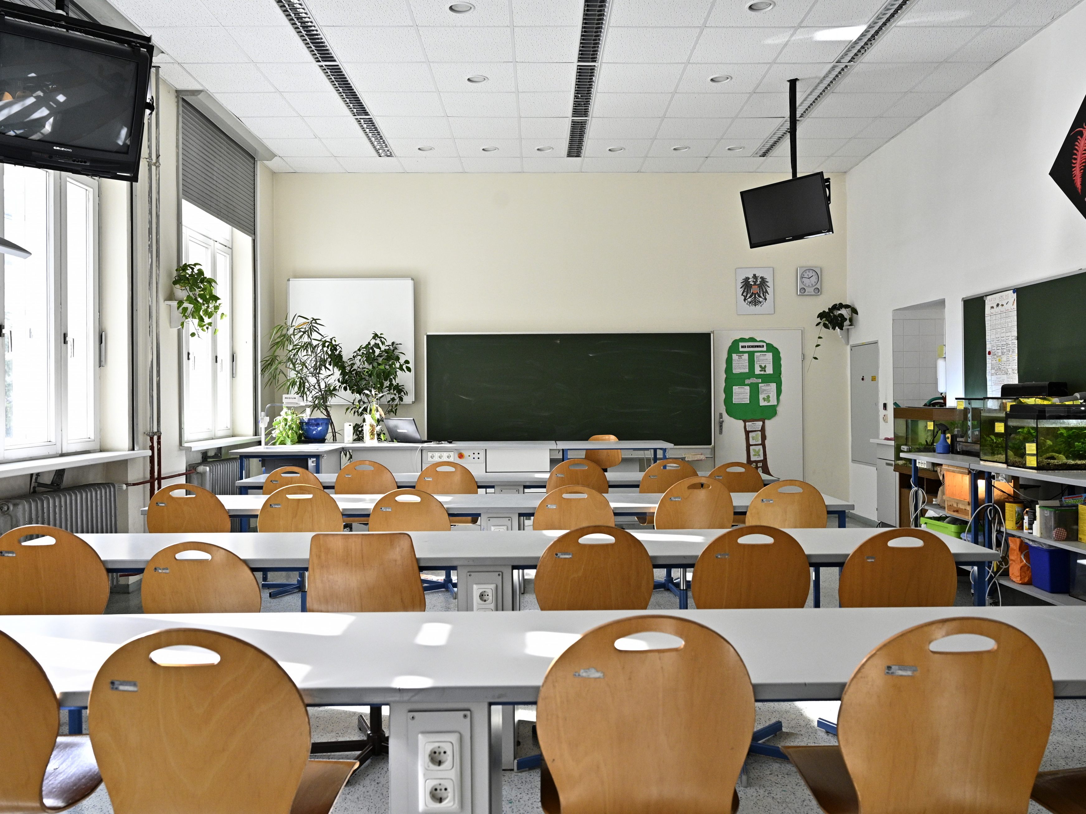 Die Häflte der Schüler kann sich eine Ausbildung im MINT-Bereich nicht vorstellen.