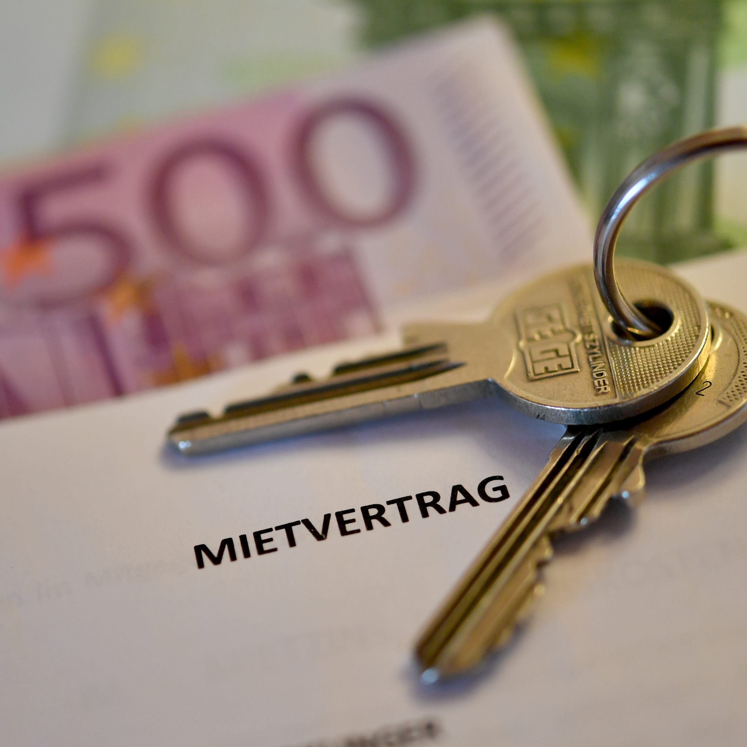 Im Vergleich zum Einkommen hat Graz die günstigsten Mieten in Europa.