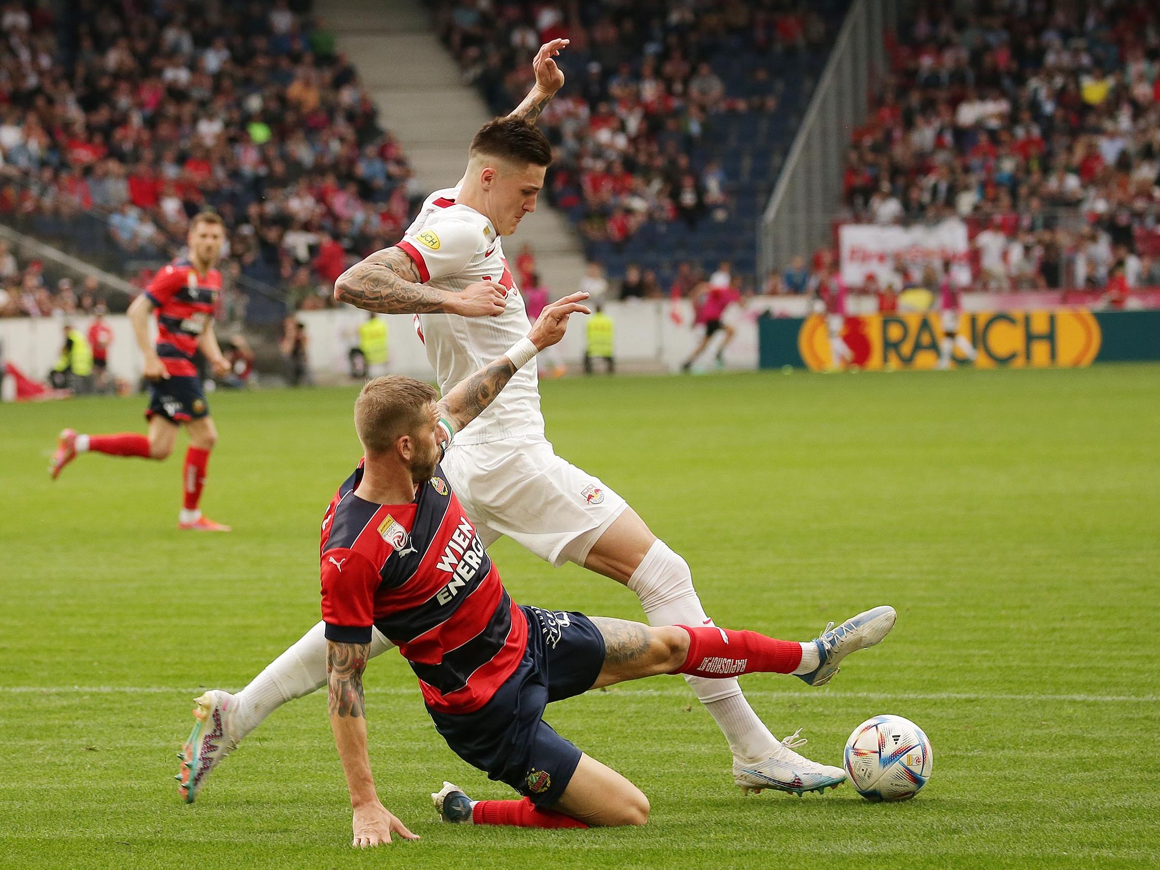 Red Bull Salzburg bleibt auf dem eigenen Rasen seit 2015 gegen Rapid ungeschlagen. Red Bull Salzburg bleibt auf dem eigenen Rasen seit 2015 gegen Rapid ungeschlagen.