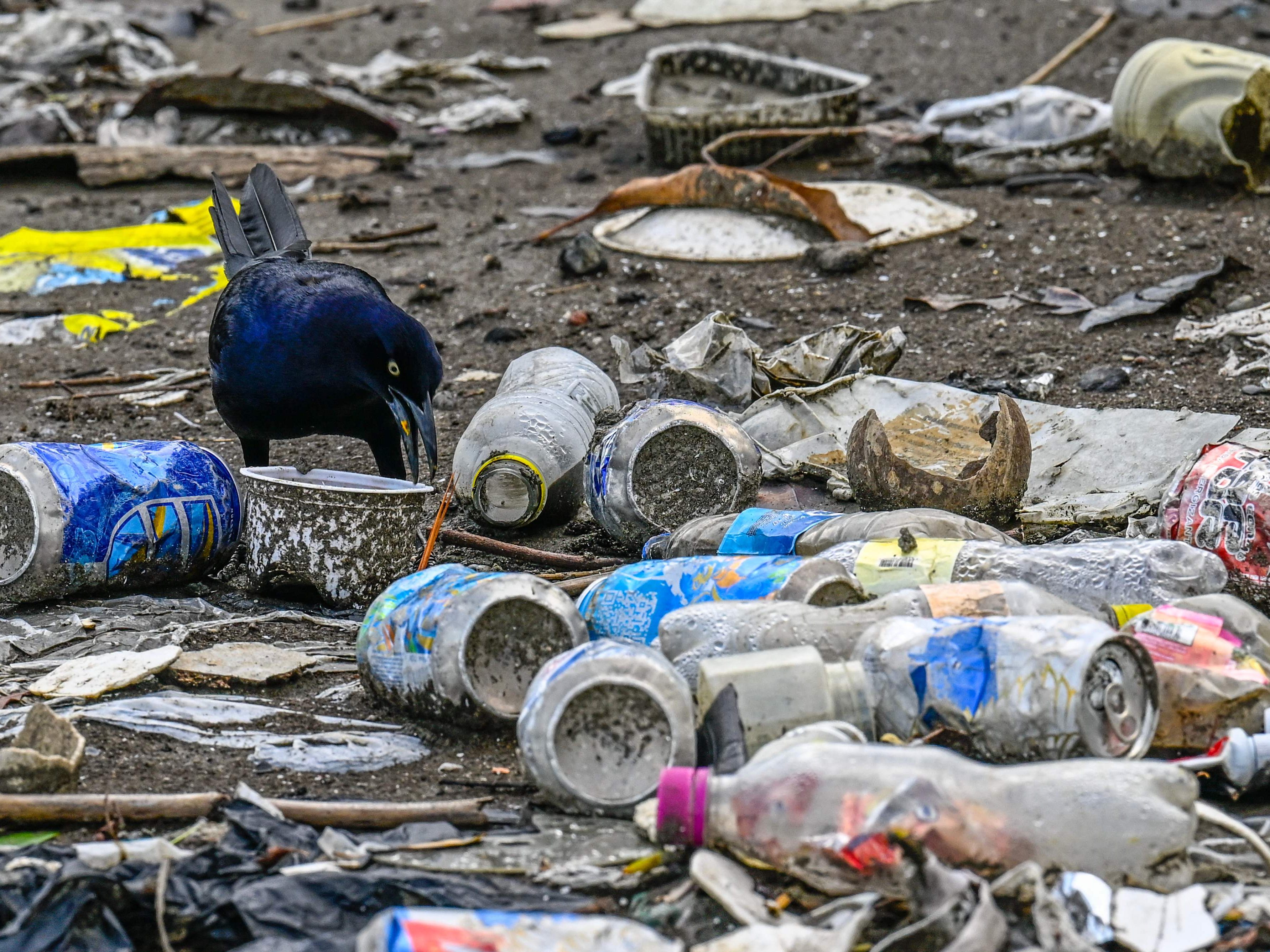 Die UNO will ein weltweites Abkommen. Die UNO will ein weltweites Abkommen.