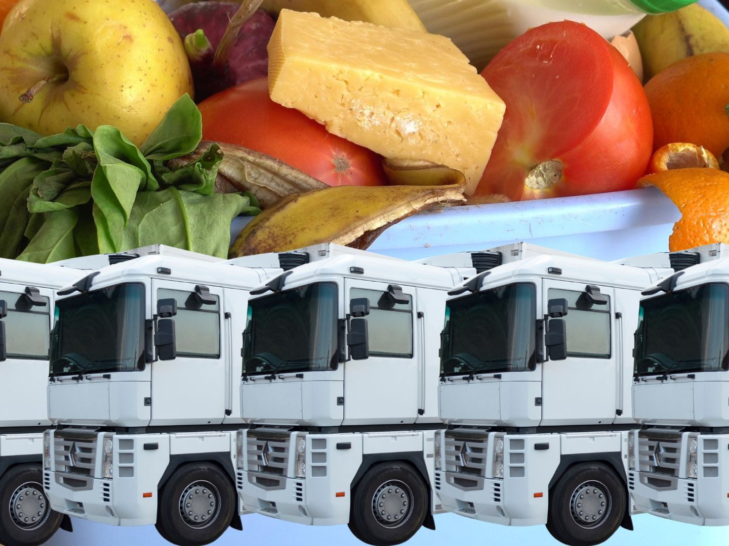 50.000 Lkw-Ladungen Lebensmittel landen in Österreich jedes Jahr im Müll.