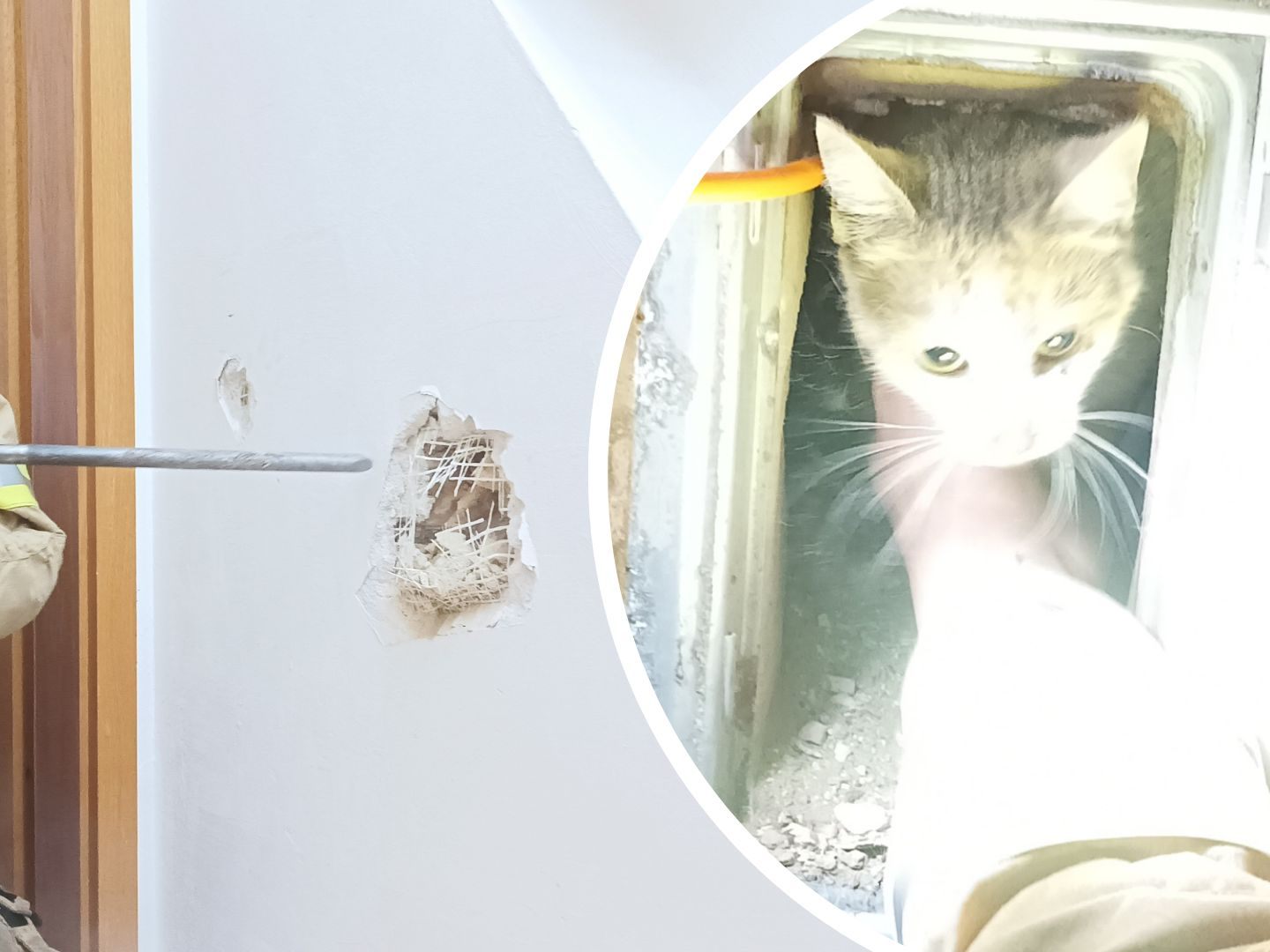 Die Katze wurde aus dem Rauchfang gestemmt. Die Katze wurde aus dem Rauchfang gestemmt.
