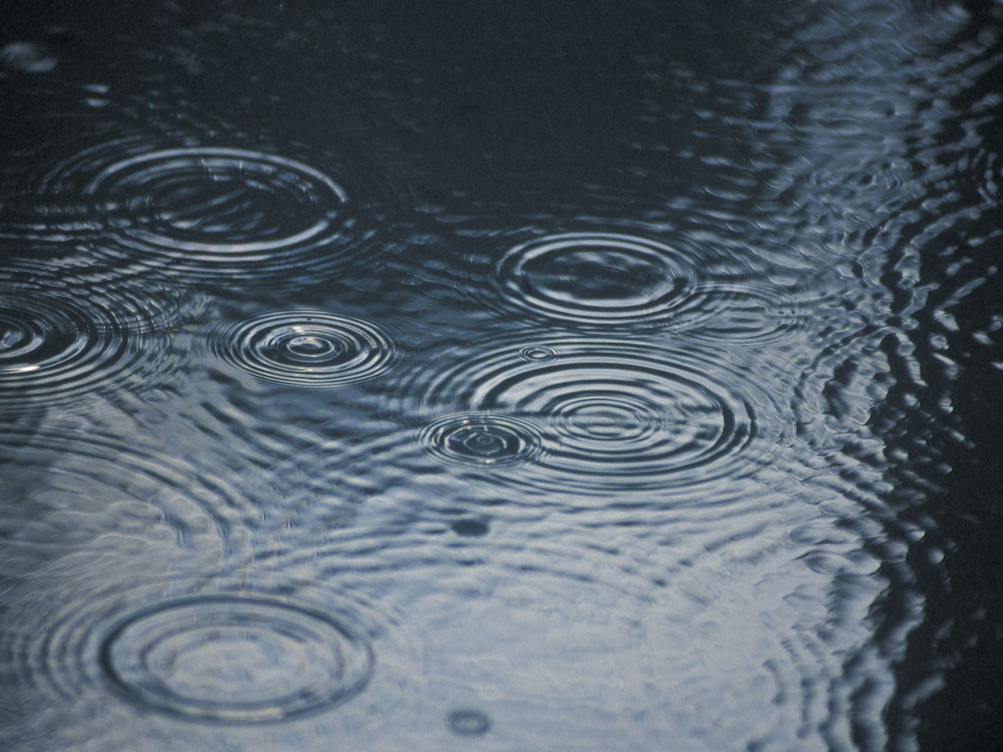 Regen verursachte höhere Wasserstände an Flüssen in NÖ. Regen verursachte höhere Wasserstände an Flüssen in NÖ.