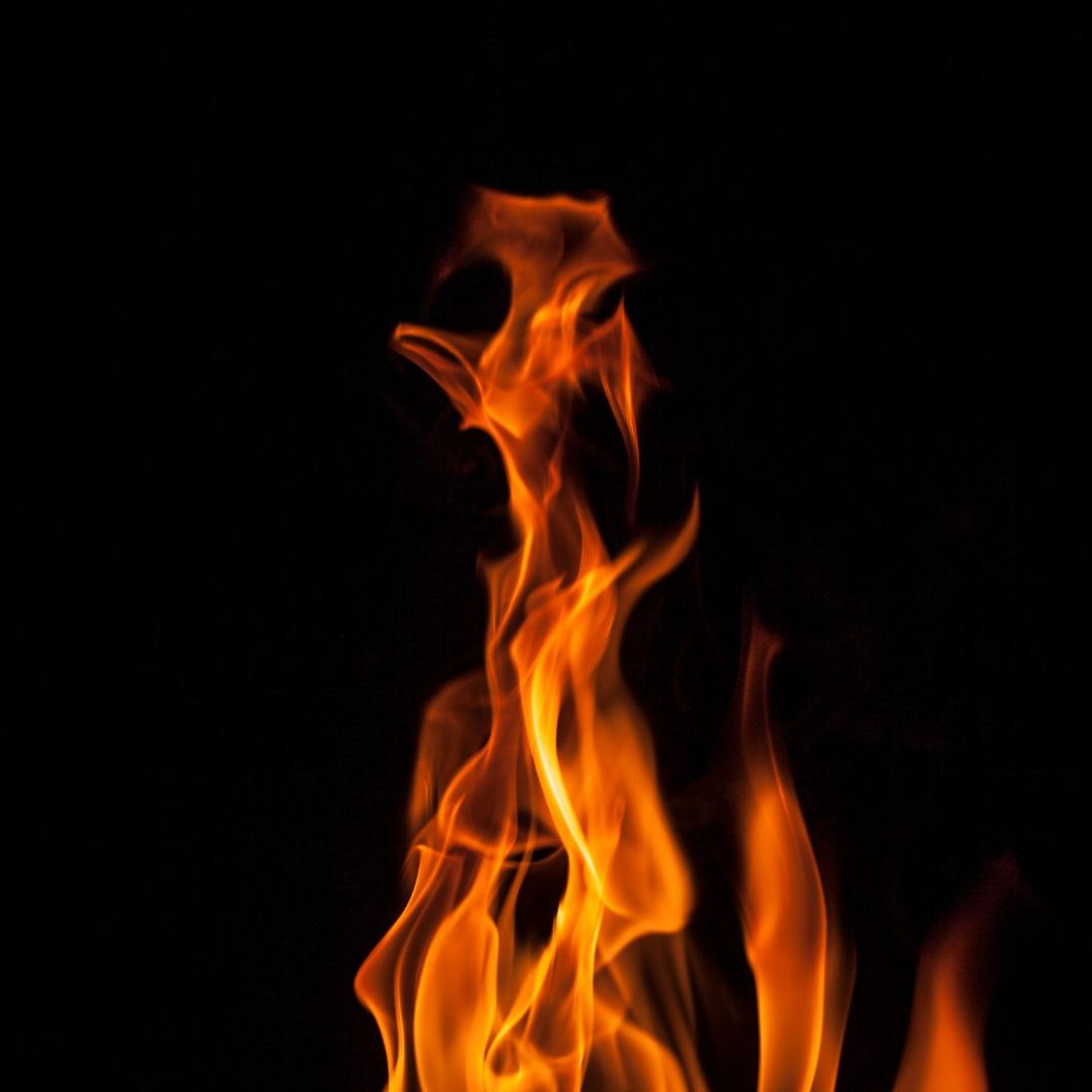 OÖ: Mehrere Vögel bei Brand gestorben.