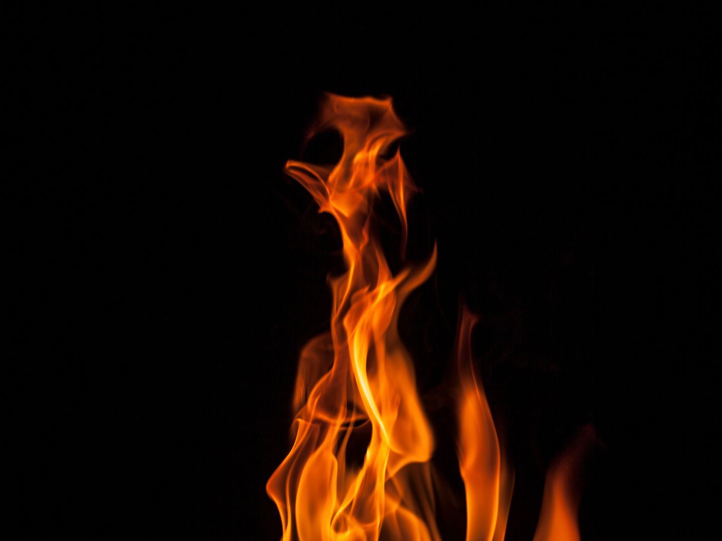 OÖ: Mehrere Vögel bei Brand gestorben.