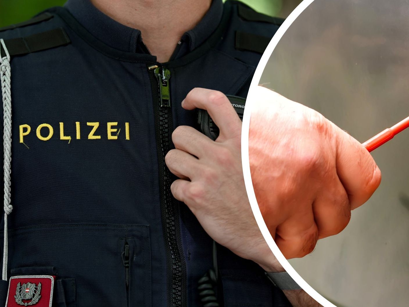 Ein 41-Jähriger randalierte in Wien, drohte seiner Frau und attackierte einen Polizisten. Ein 41-Jähriger randalierte in Wien, drohte seiner Frau und attackierte einen Polizisten.