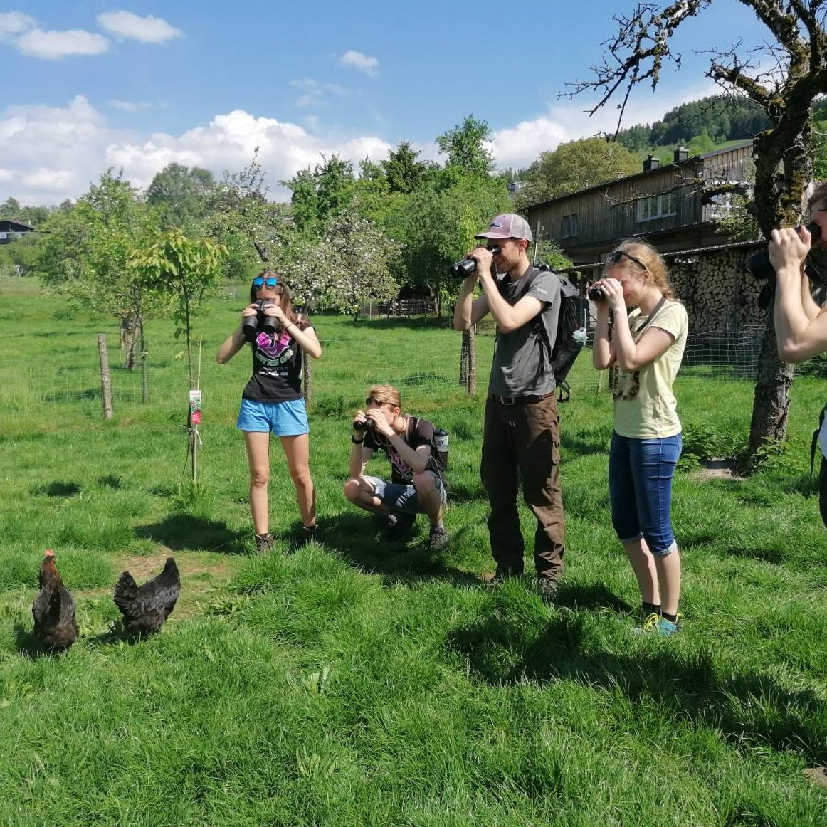 Das Austrian BirdRace findet am 6. und 7. Mai statt.