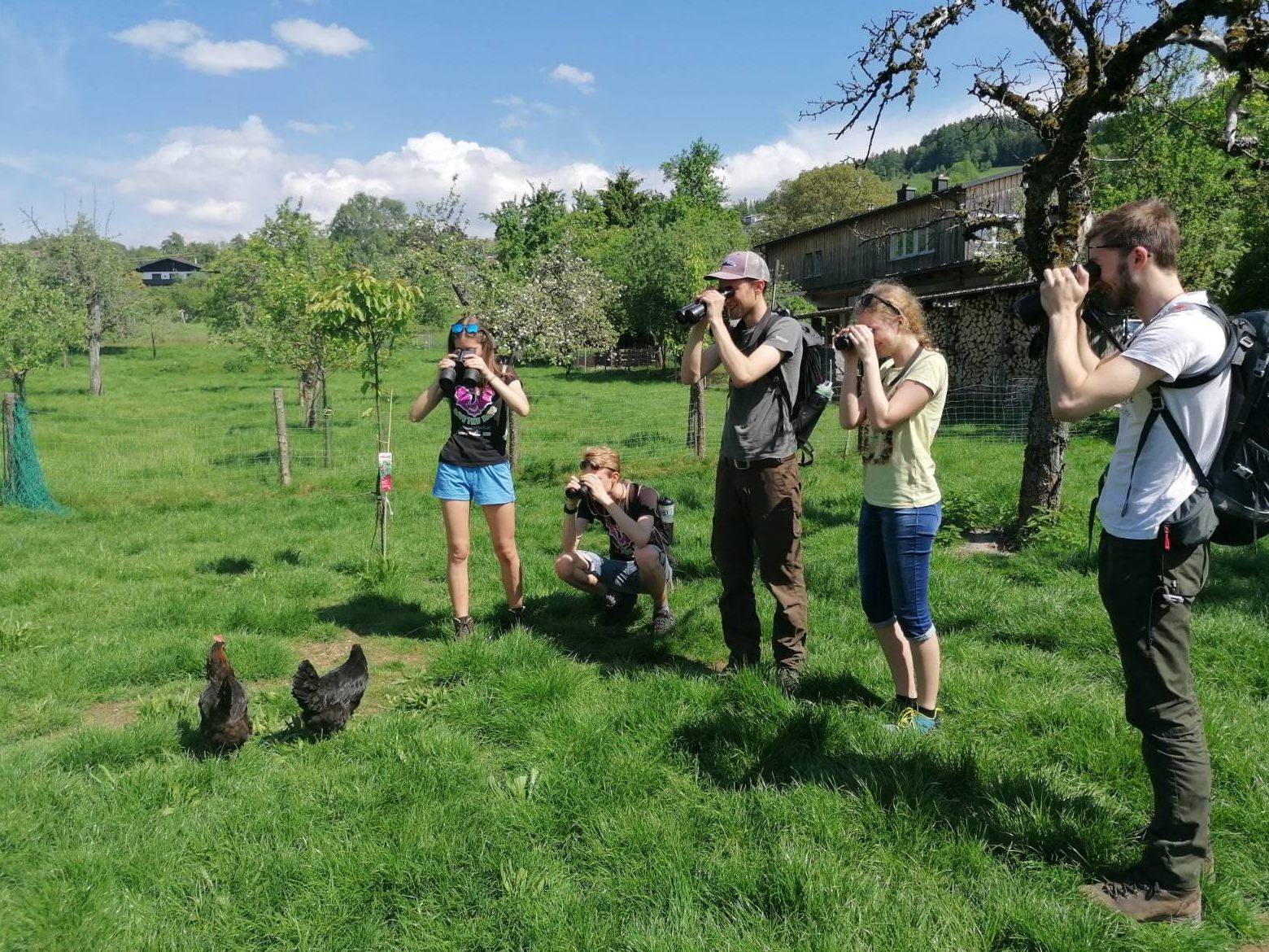Das Austrian BirdRace findet am 6. und 7. Mai statt. Das Austrian BirdRace findet am 6. und 7. Mai statt.