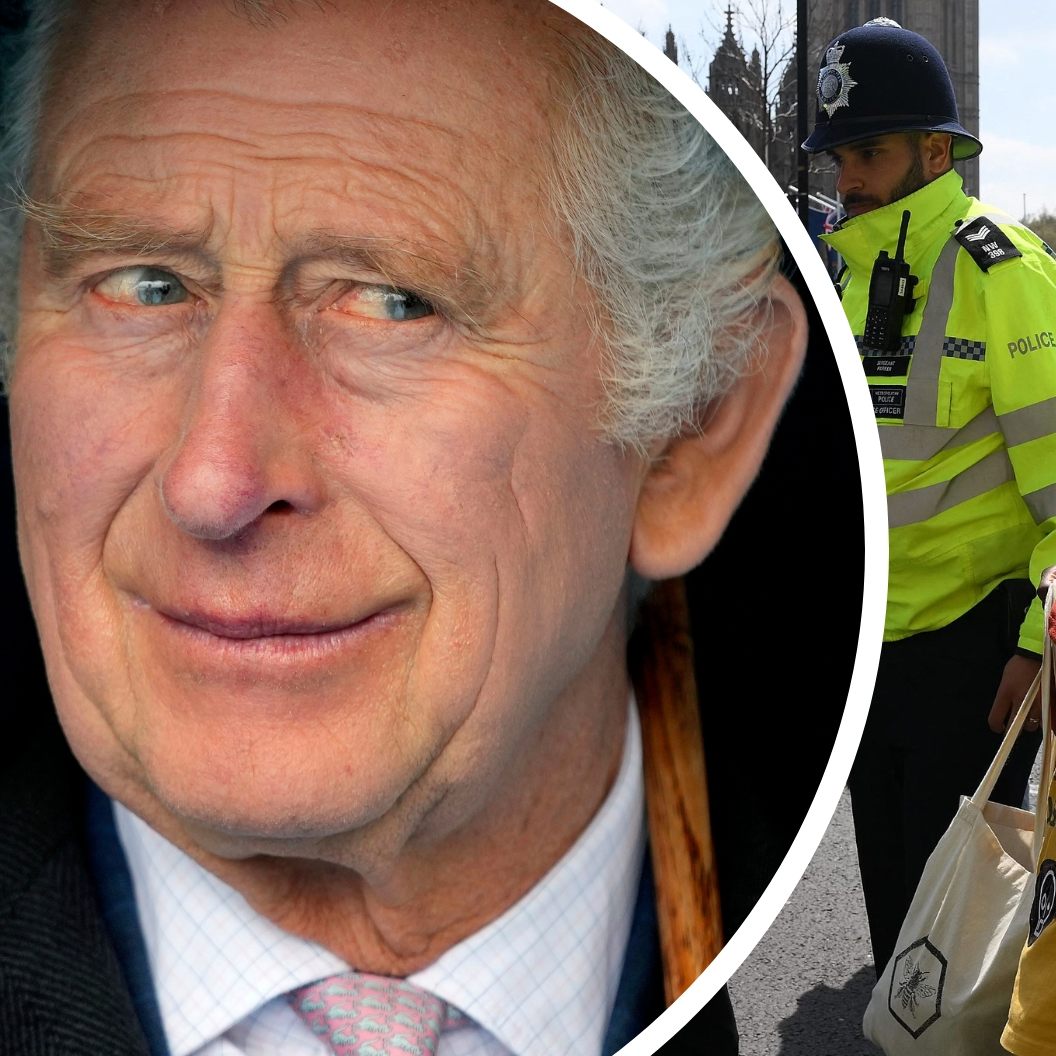 Zur Krönung von König Charles III. strömen Hunderttausende in die britische Hauptstadt - Eine Heruasforderung für die Sicherheitskräfte.