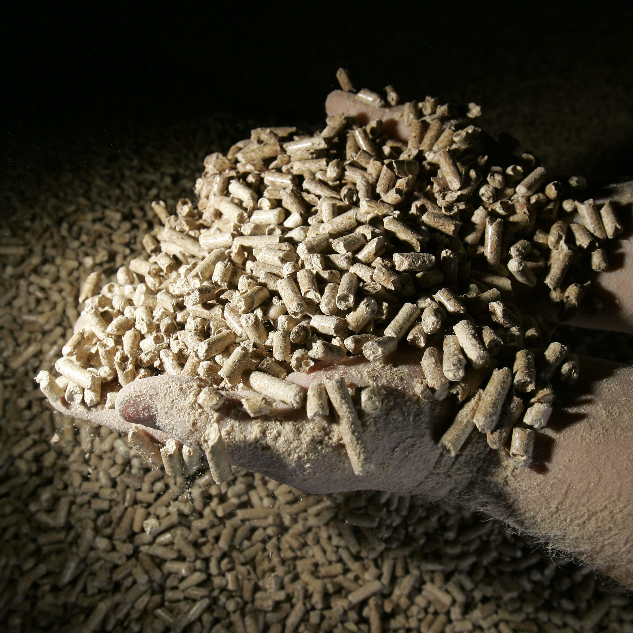 Der BWB ermittelt wegen Kartellverdacht in der Pelletbranche.