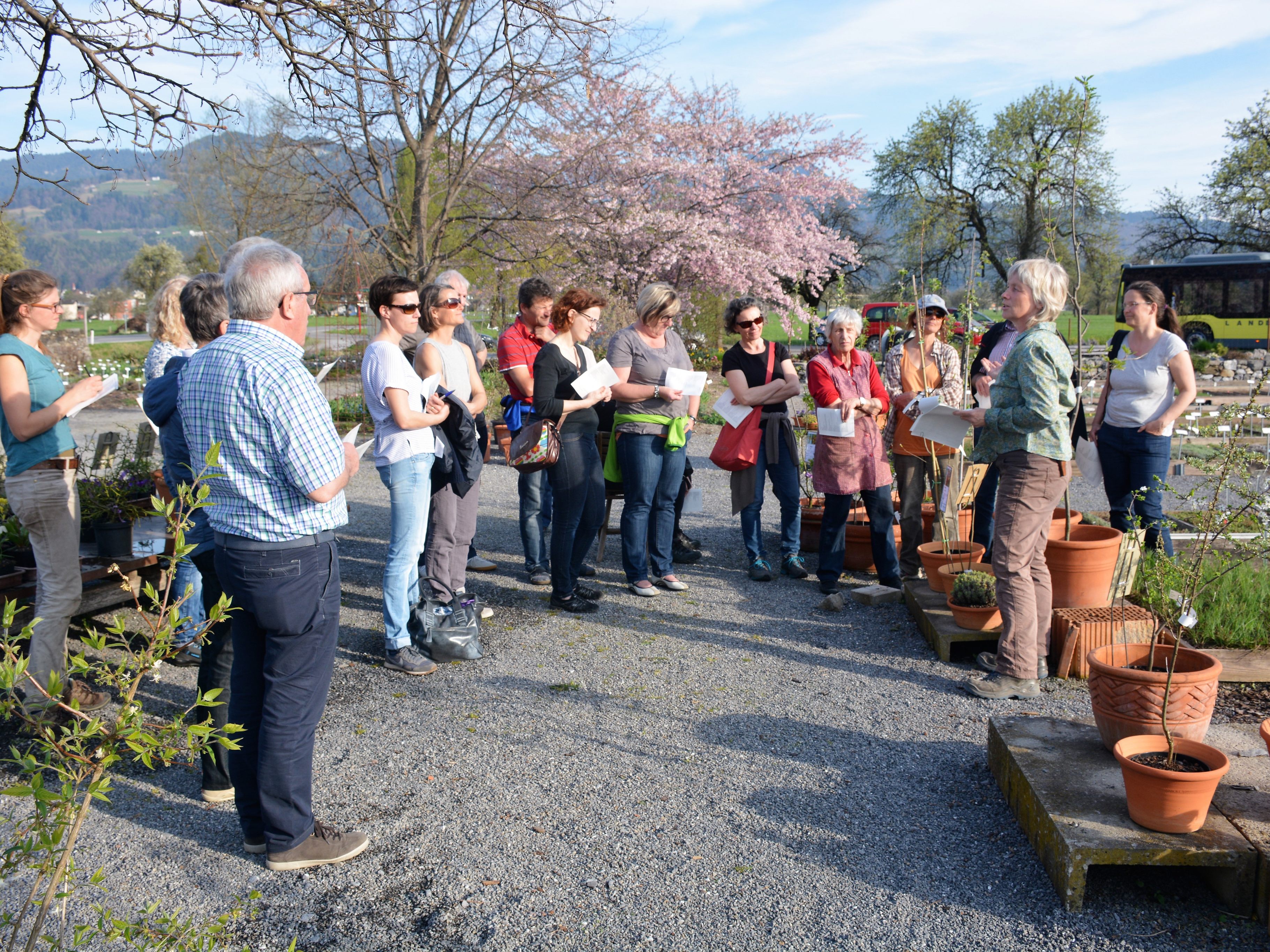 Kräuter und Heilpflanzen