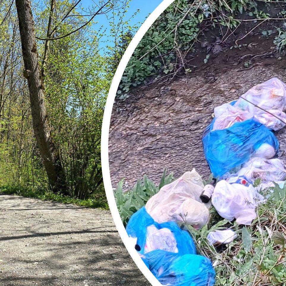 Gleich zweimal wurde Hausmüll in den Achauen entsorgt.