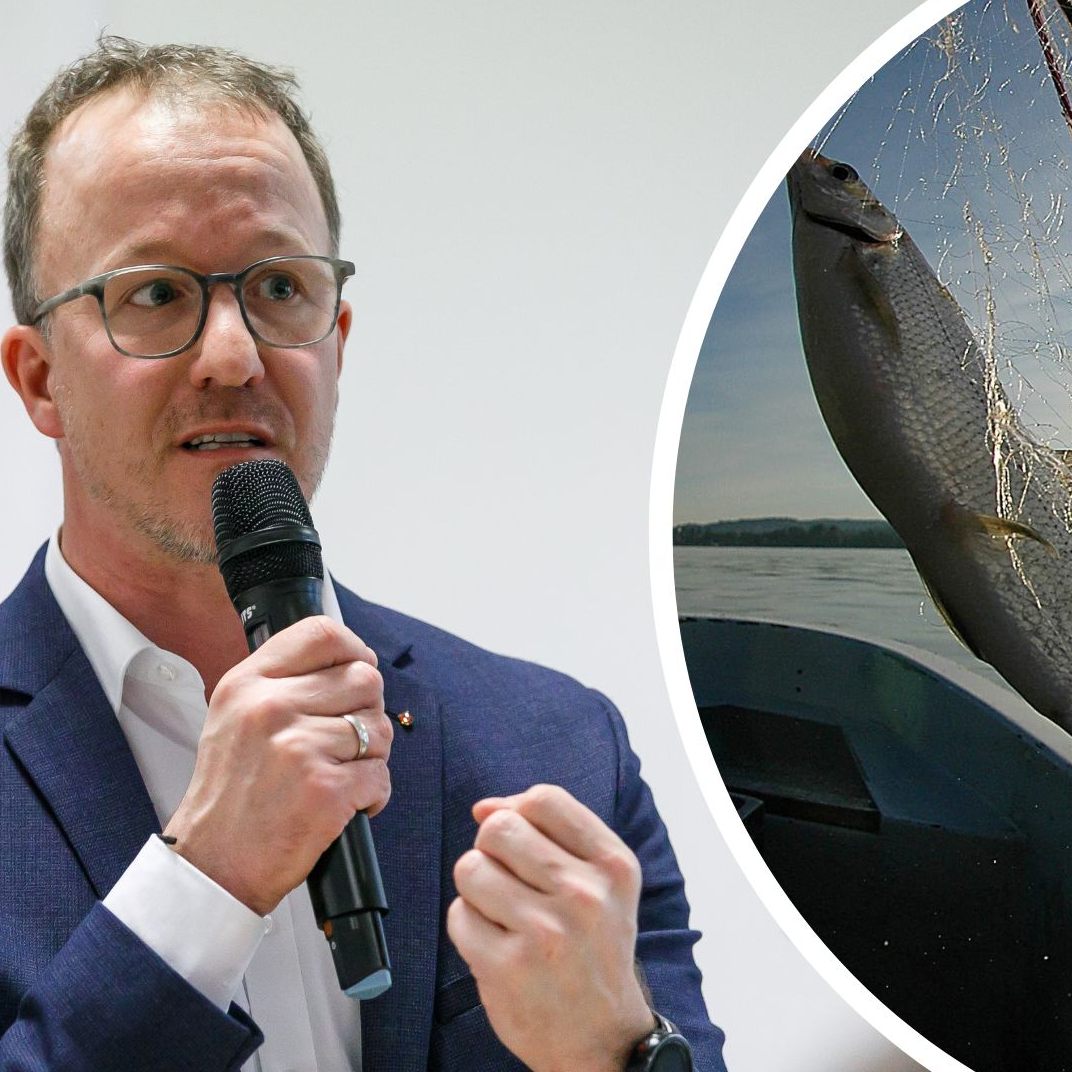 Wie Landesrat Christian Gantner die Felchen-Thematik sieht.