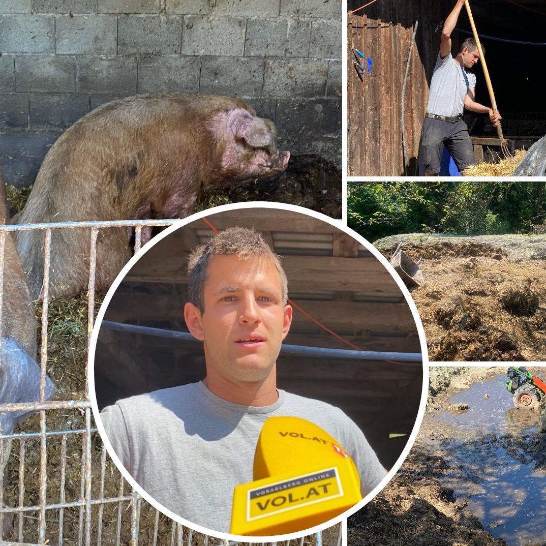 VOL.AT war nach den VGT-Vorwürfen vor Ort auf dem Hof.