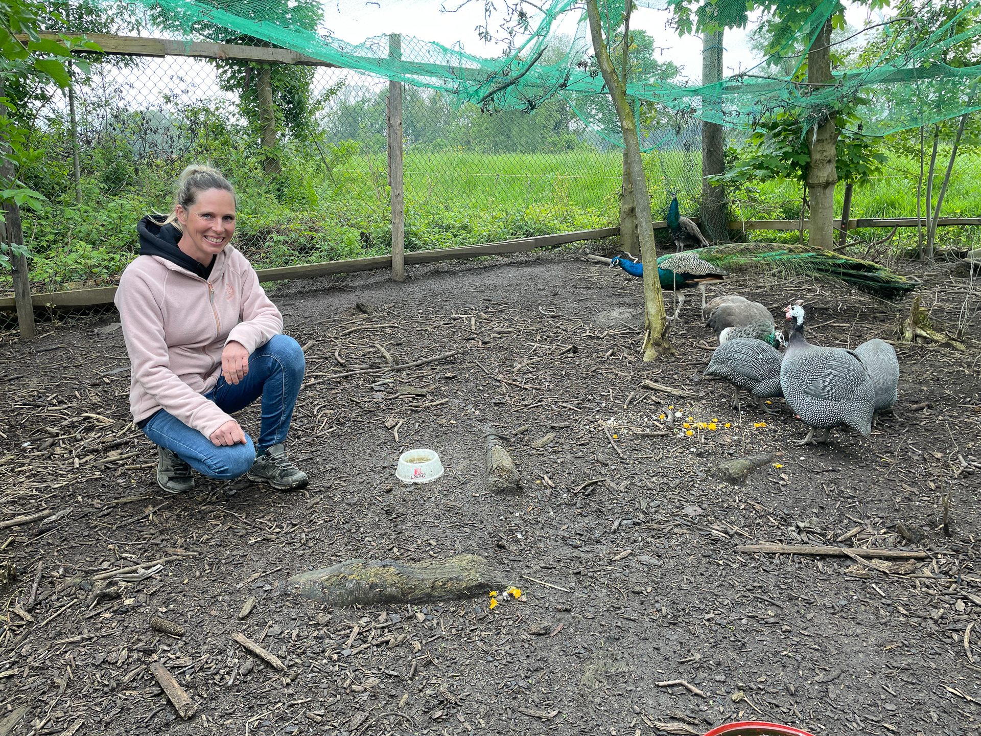 Bei Martina Riedmann wohnt mittlerweile eine ganze Pfauenfamilie.