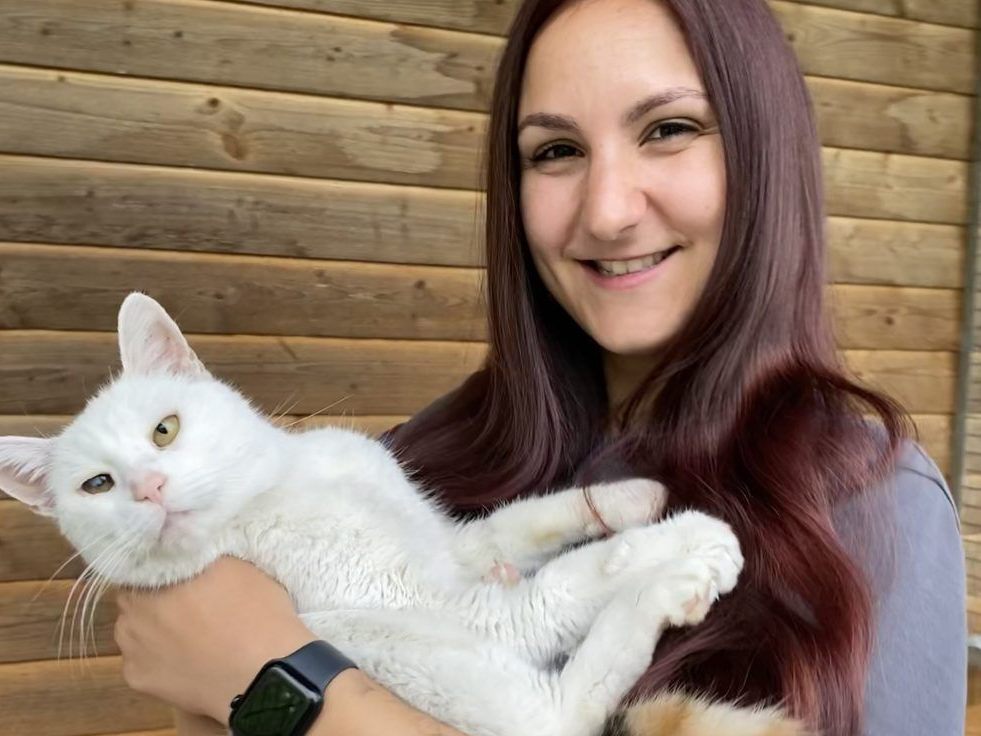 Samtpfote Indra sucht einen Gnadenplatz VOL.AT