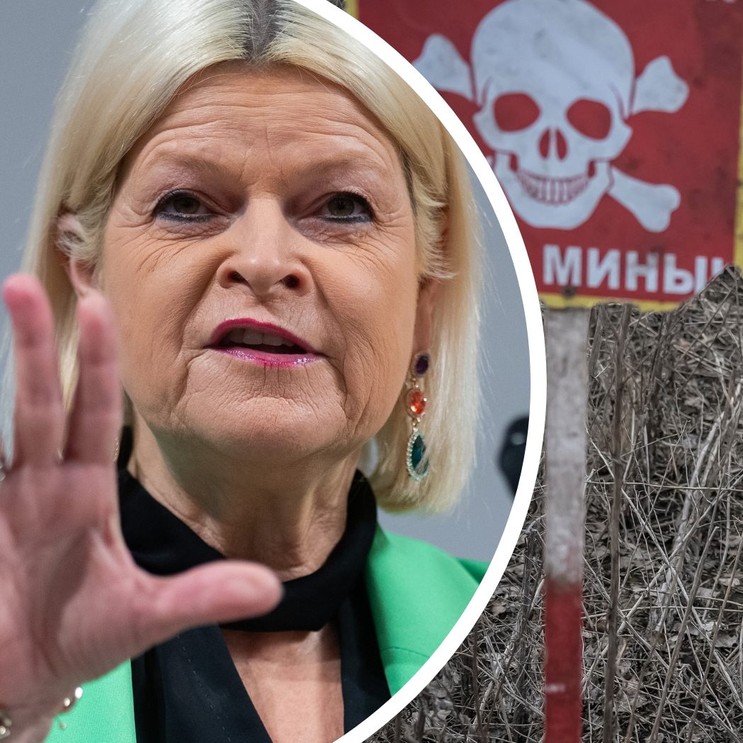 Verteidigungsministerin Tanner sieht Widerspruch zum Bundesverfassungsgesetz.