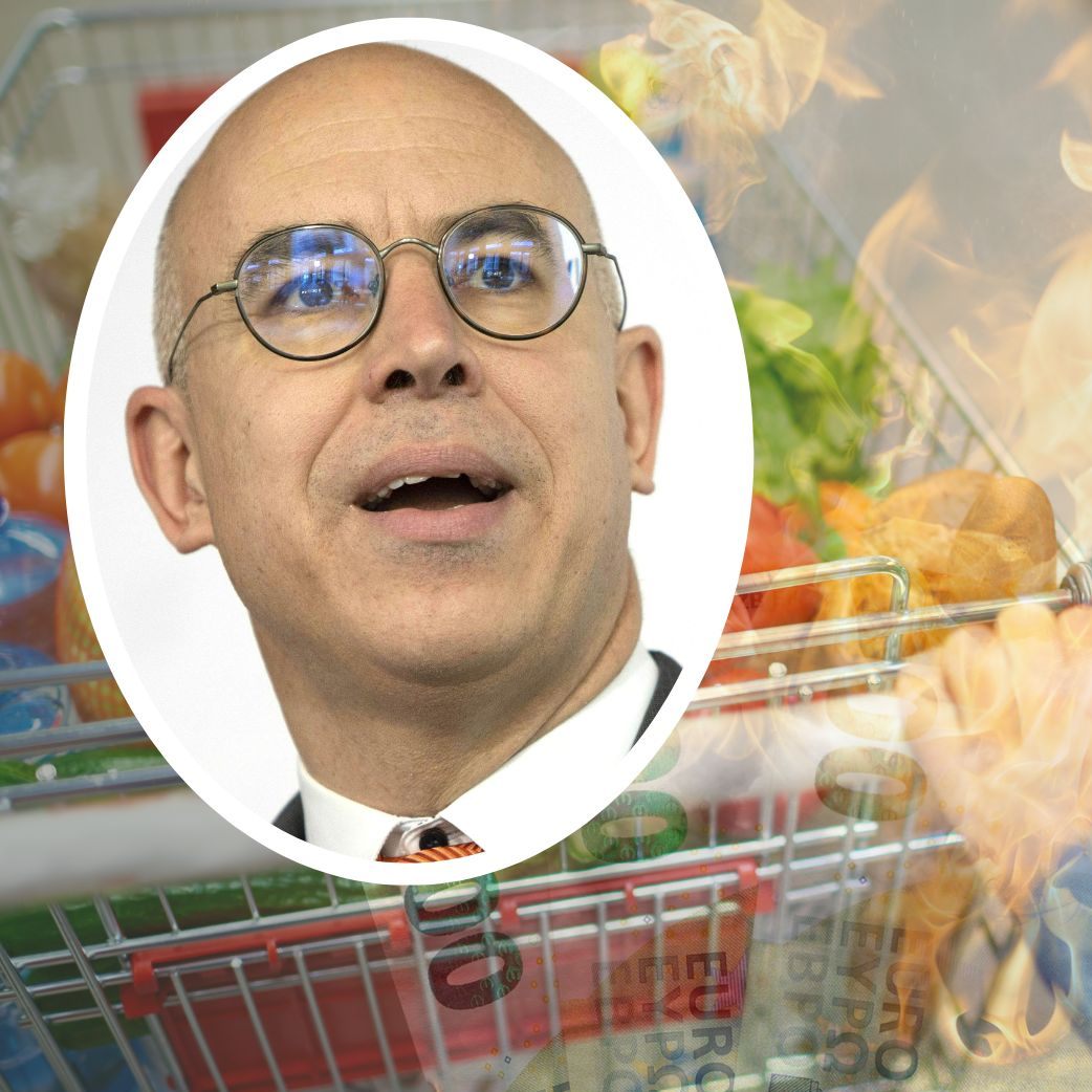 Wifo-Chef: Lasse man "die Sache laufen", ergehe es Österreich wie den "Südländern" der Eurozone