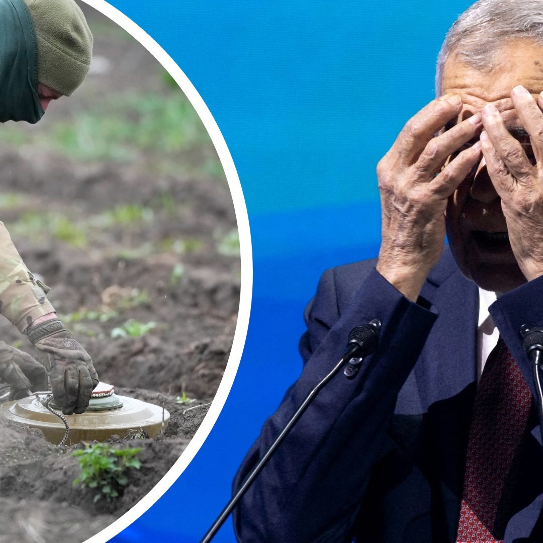 Bundespräsident Van der Bellen sieht einen humanitären Auftrag.