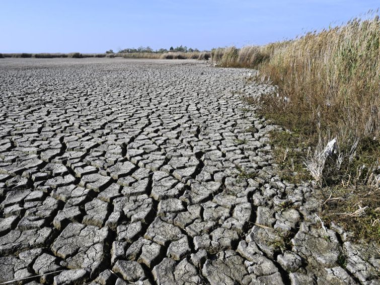 Forscher sehen die Belastungsgrenzen bei Umwelt und Klima überschritten.