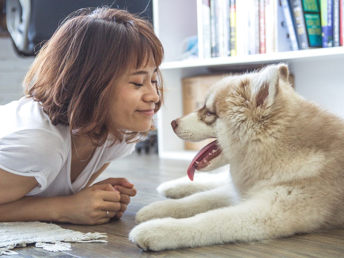 Wenn ein Hund ein Familienmitglied wird, baut man eine emotionale Bindung zu ihm auf. Wenn ein Hund ein Familienmitglied wird, baut man eine emotionale Bindung zu ihm auf.