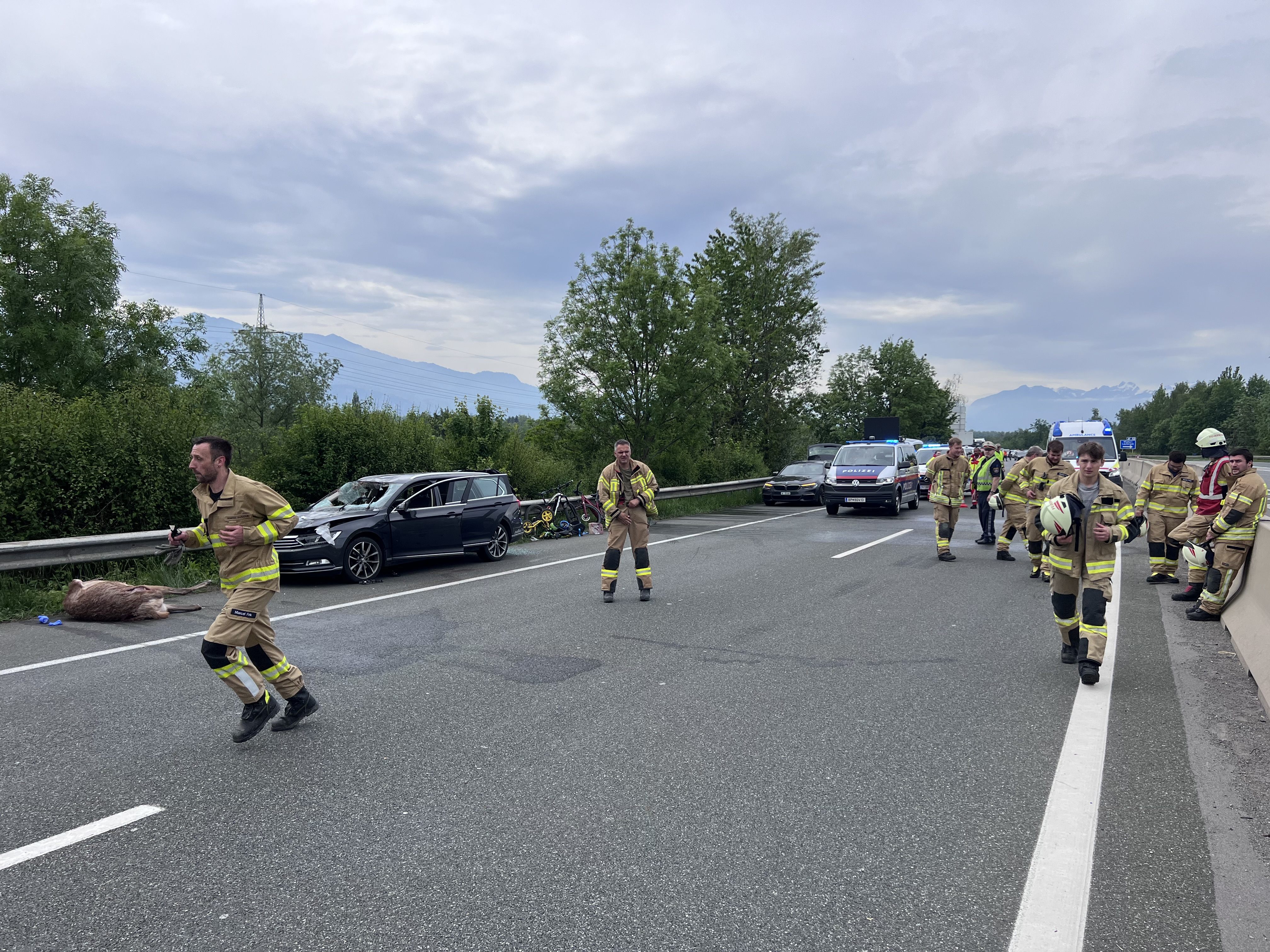 Das Auto kollidierte mit einem Reh, das sich auf der Fahrbahn befand.