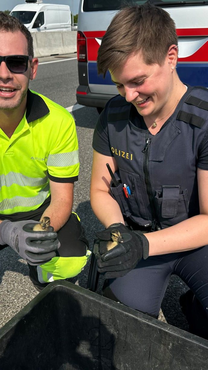 Die A4 ist wegen Enten gesperrt worden.