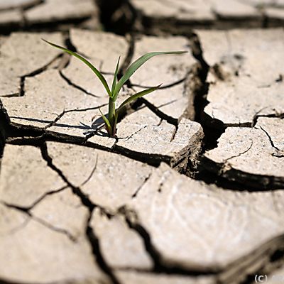 Durchschnittstemperatur lag 2022 2,3 Grad über vorindustriellem Niveau