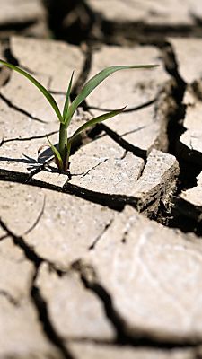 Durchschnittstemperatur lag 2022 2,3 Grad über vorindustriellem Niveau