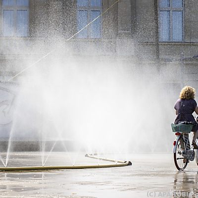Direkte Sonne soll bei hohen Temperaturen gemieden werden