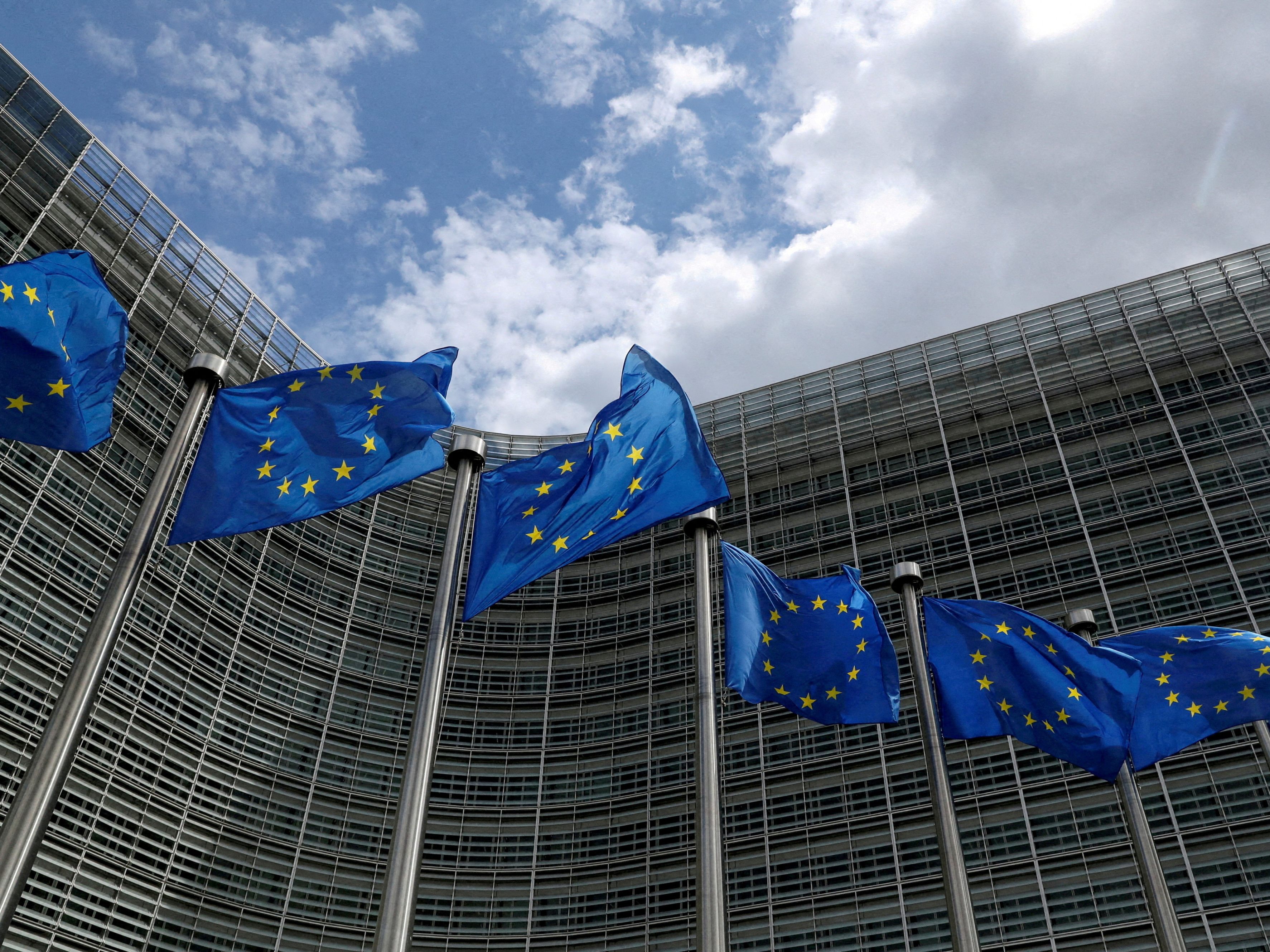 Die EU will Visaverfahren für den Schengen-Raum digitalisieren. Die EU will Visaverfahren für den Schengen-Raum digitalisieren.