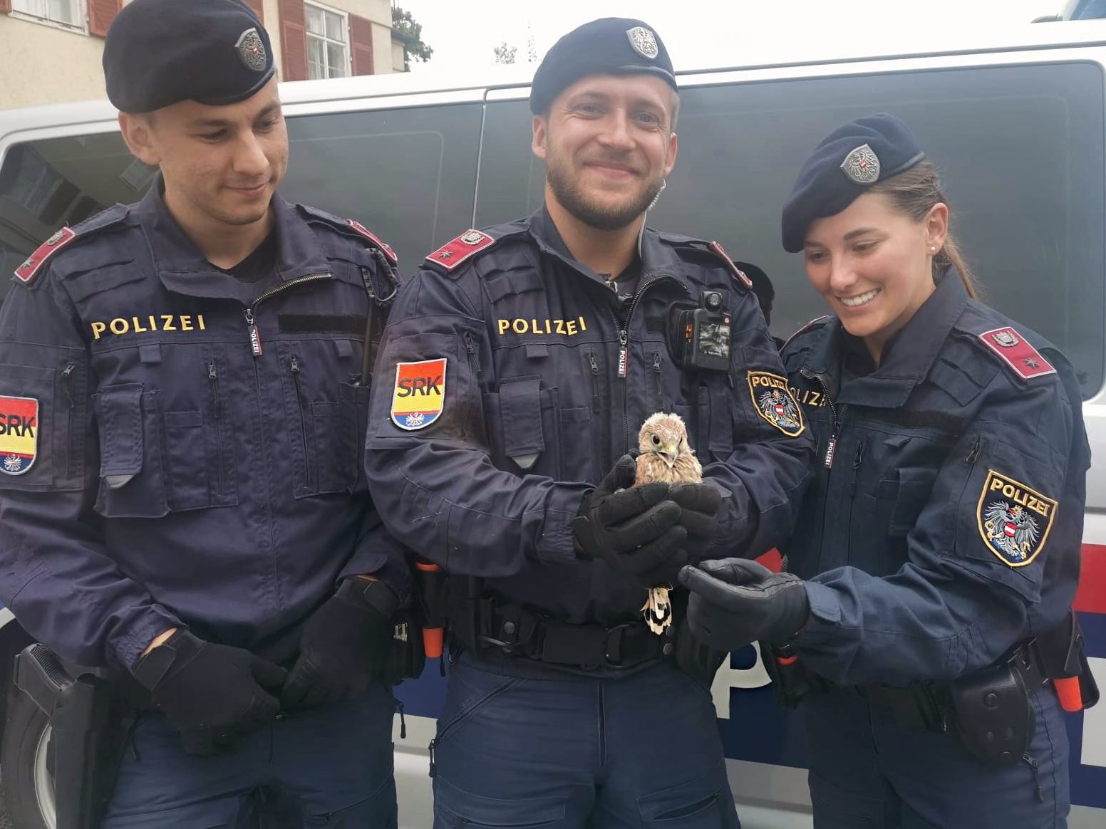 Polizei rettete Turmfalkenjunges bei Landhaus in Eisenstadt.