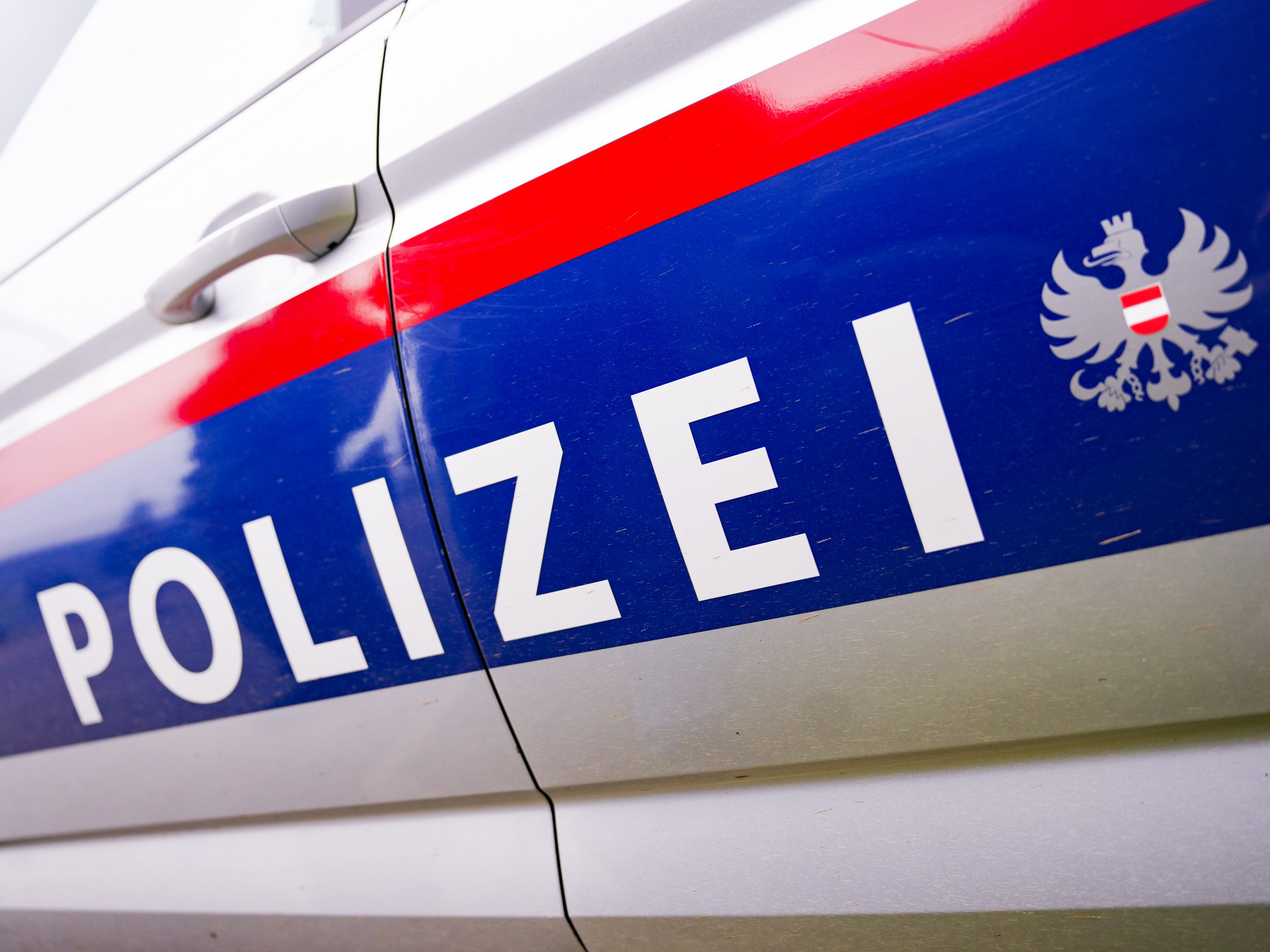 In Wien-Brigittenau verletzte ein Ladendieb zwei Polizisten leicht. In Wien-Brigittenau verletzte ein Ladendieb zwei Polizisten leicht.