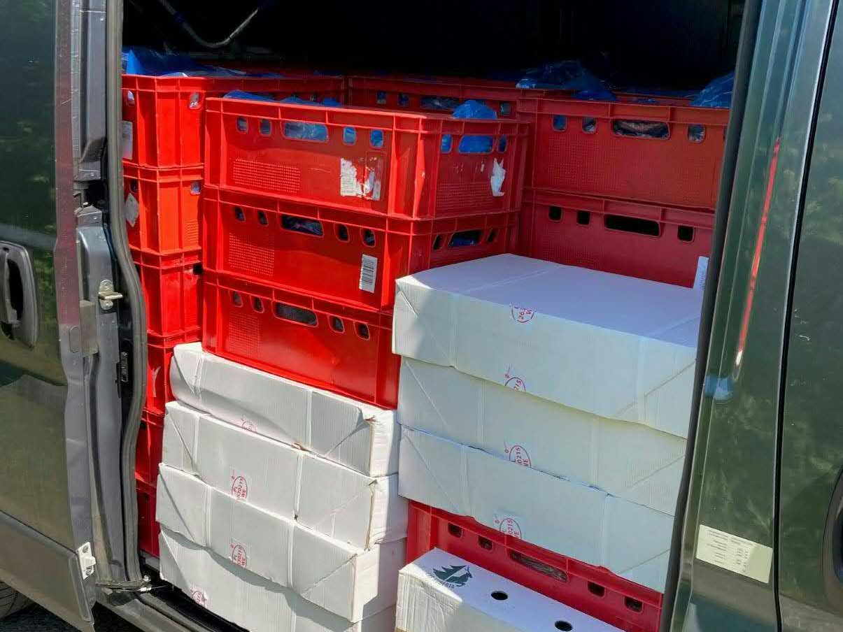 Ein überladener Fleischtransporter ohne Kühlung wurde in Stockerau angehalten. Ein überladener Fleischtransporter ohne Kühlung wurde in Stockerau angehalten.