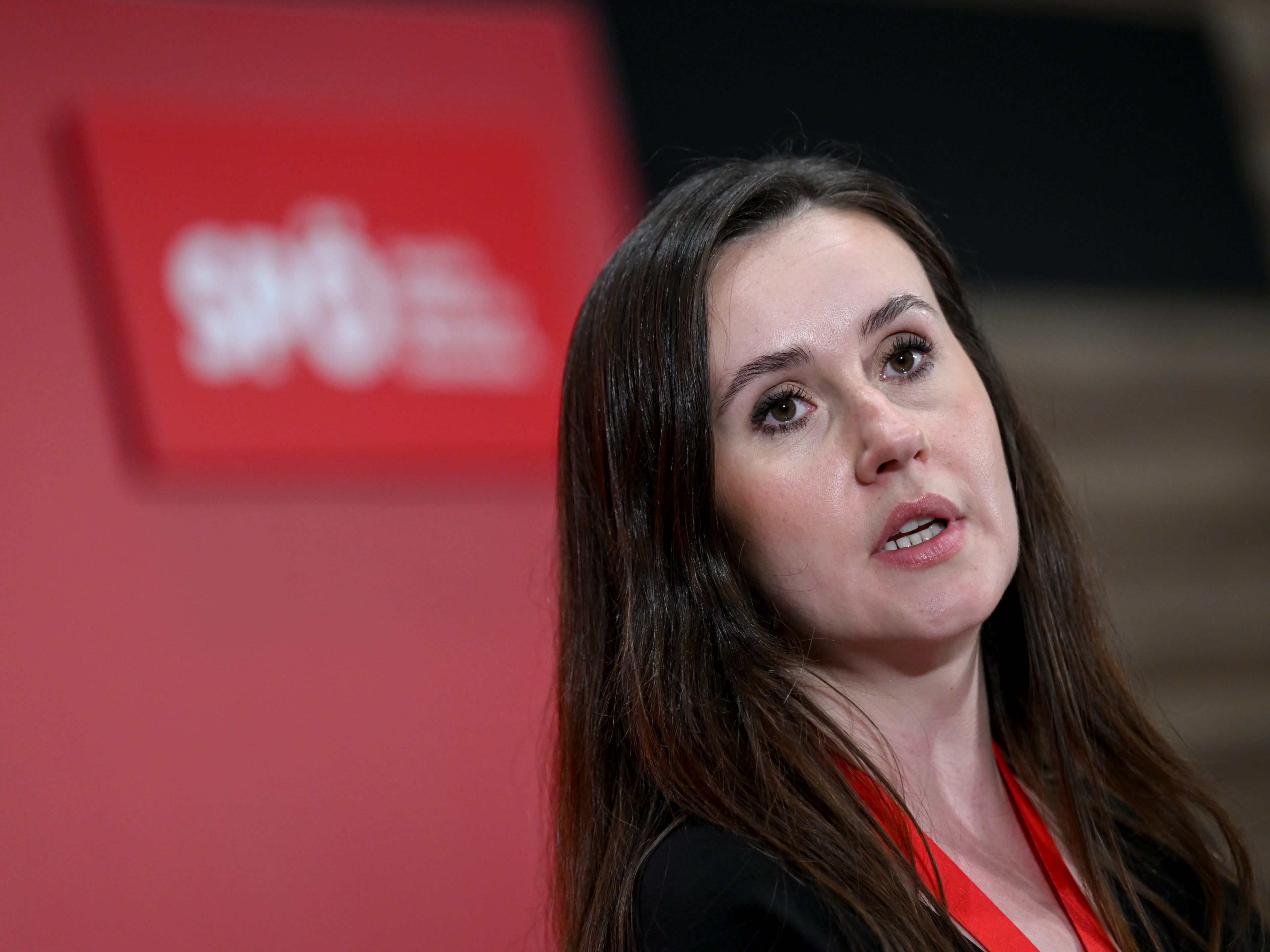 Grubesa: Rücktritt als Sprecherin der SPÖ-Wahlkommission.