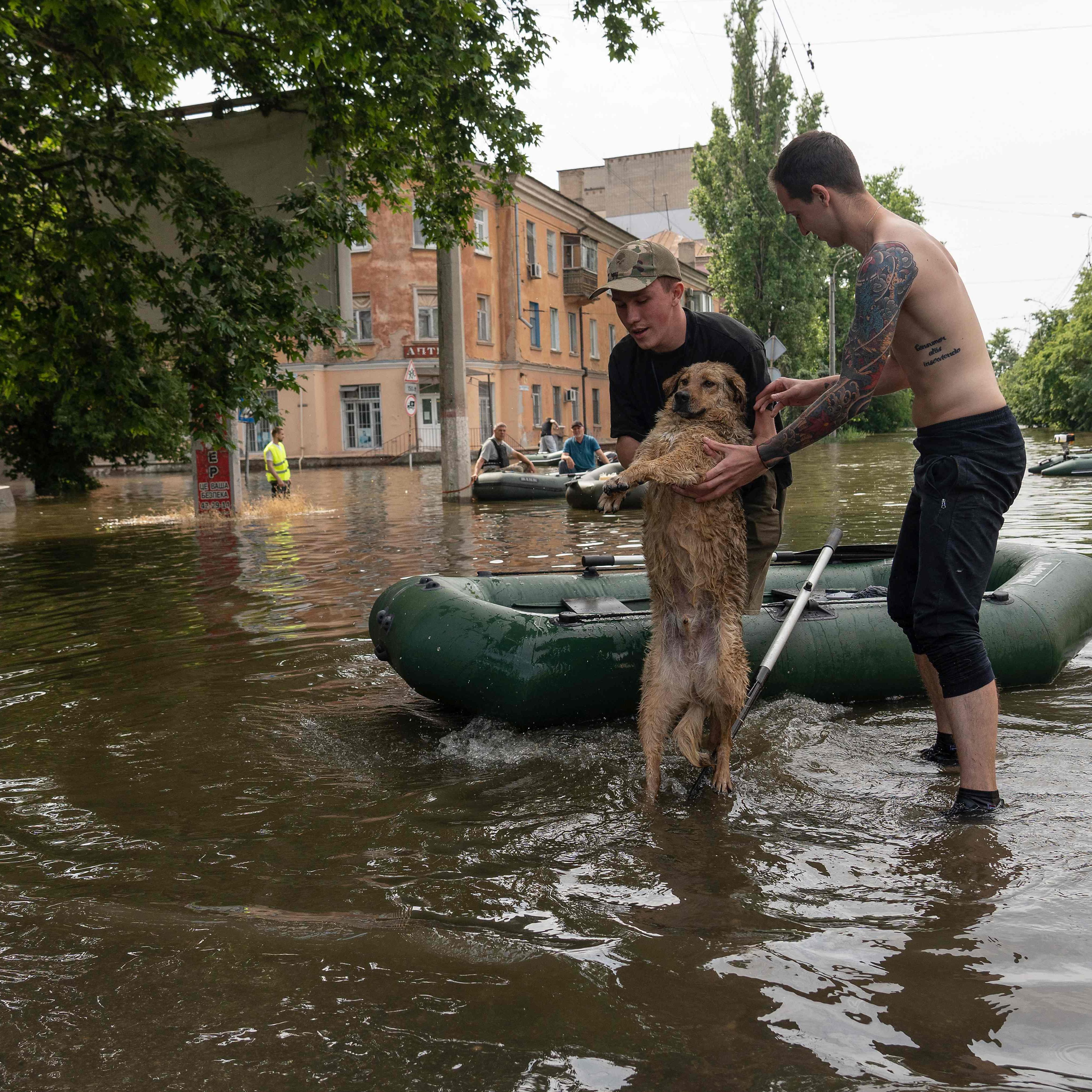 Schwere Überschemmungen in Cherson.