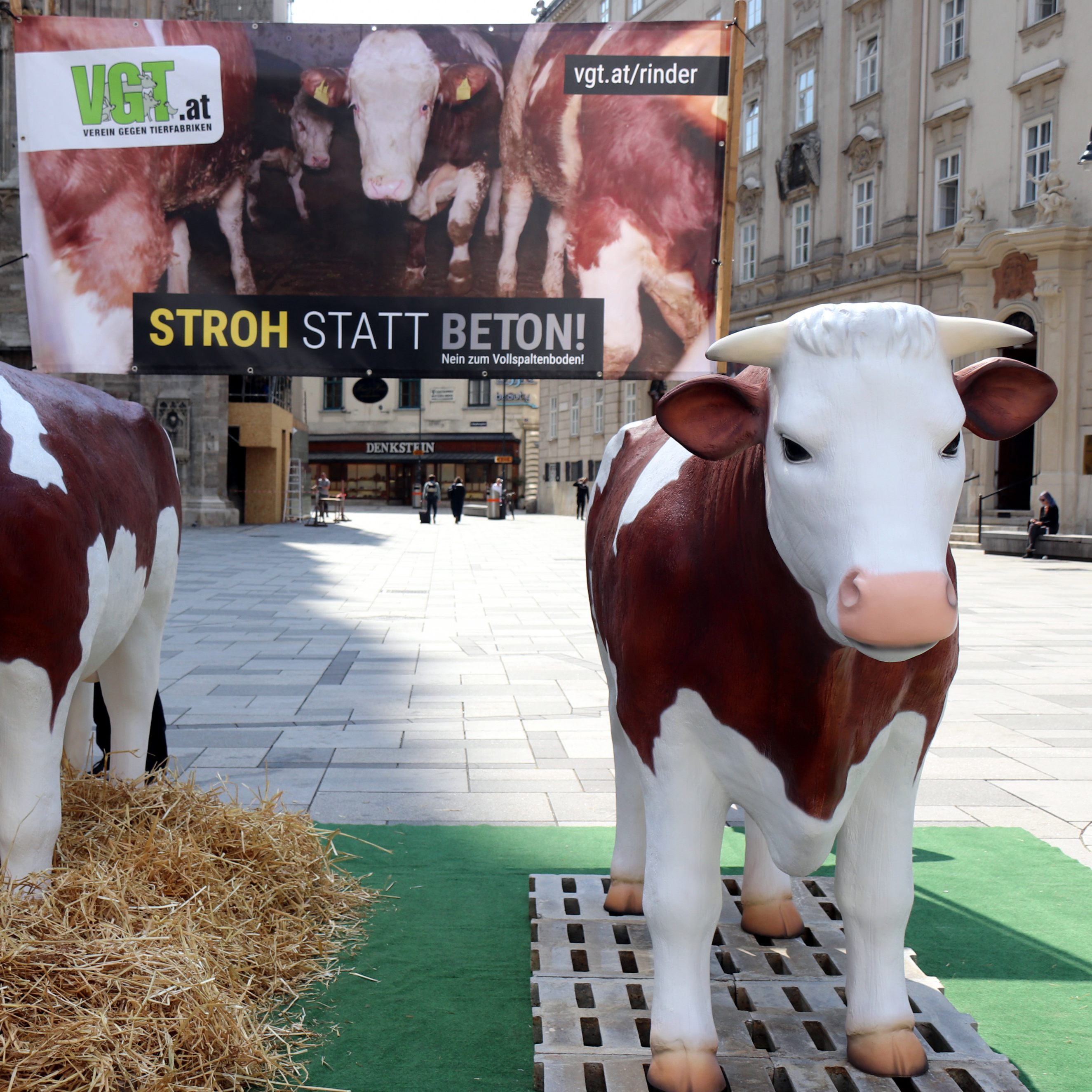 Der VGT protestierte am Wiener Stephansplatz mit riesen Stierfiguren gegen Vollspaltböden.