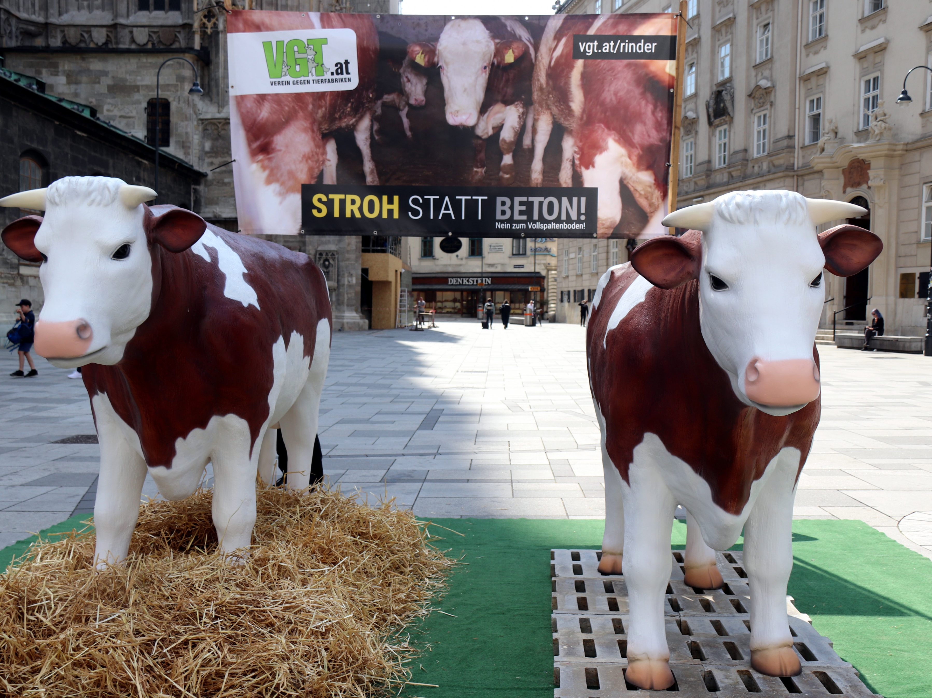 Der VGT protestierte am Wiener Stephansplatz mit riesen Stierfiguren gegen Vollspaltböden.